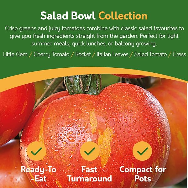 Pronto Seed Grow Your Own Vegetable & Herb Kit – 21 Varieties, 1700+ Seeds for Planting UK – Salad, Spicy, Peas & Beans Mix – Gardening Gifts for Men & Women with Growing Guide - 4