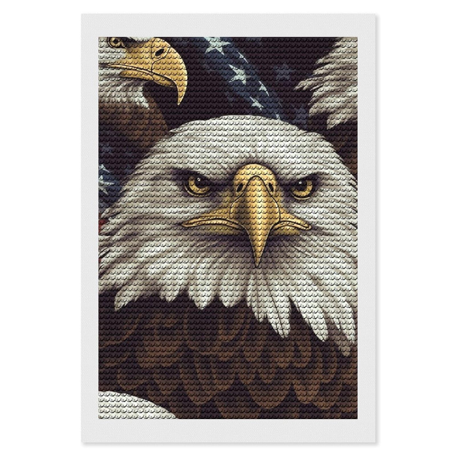 FodPand Diamond Art Kits for Adults, 5D Aurora Diamond Painting Kits for Beginners, Bald Eagle DIY Full Drill Dots Gem Art Paint Crafts for Home Wall Decor 8"x12"