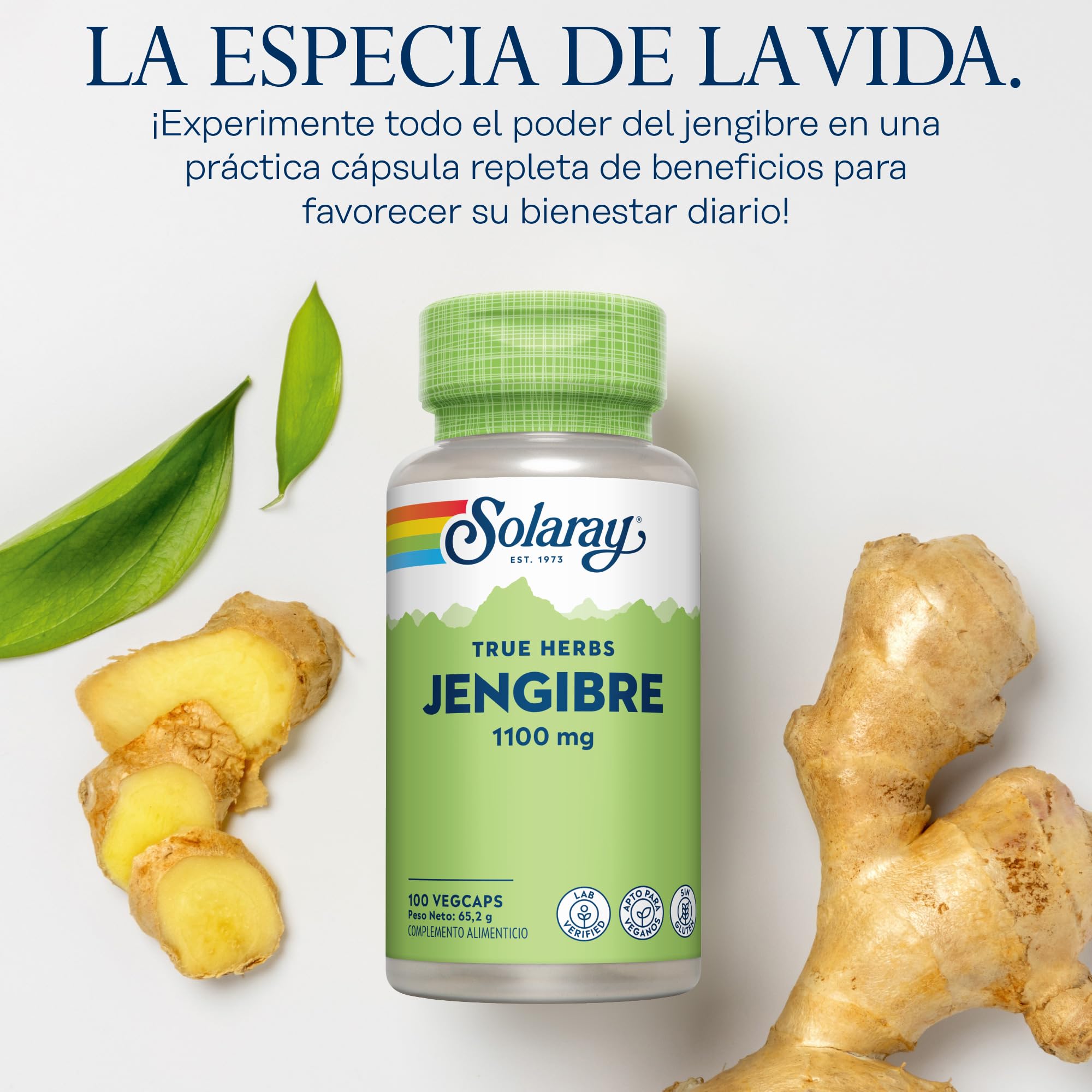 Jengibre – 100 cápsulas veganas – Suplemento de jengibre de alta resistencia, no tabletas ni chupitos, raíz de Zingiber Officinale, sin OMG y verificado en laboratorio Solaray