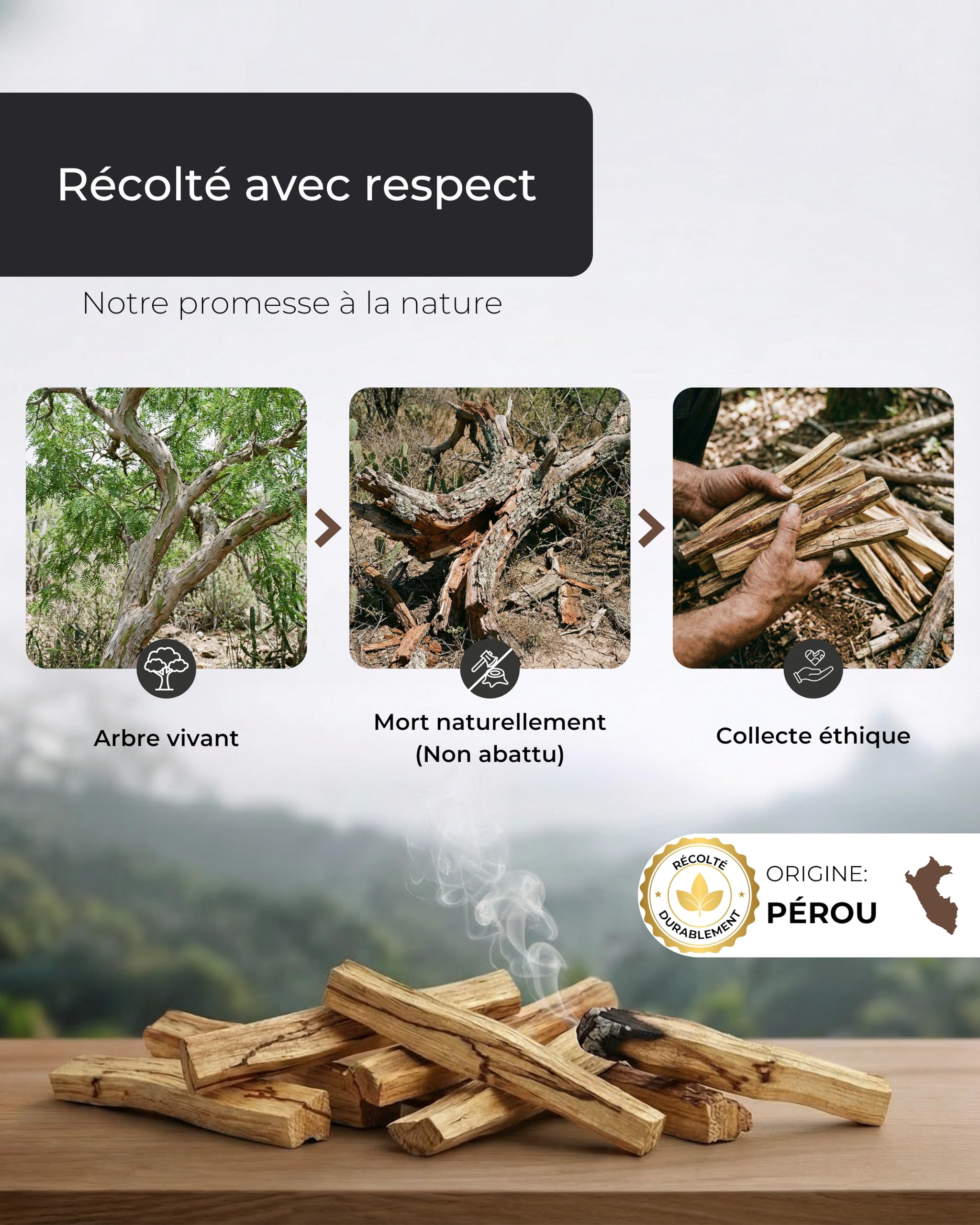 Incensera Bois de Palo Santo 8 Bâtons d'Encens Naturel 10 cm Purification Maison Méditation Aromathérapie