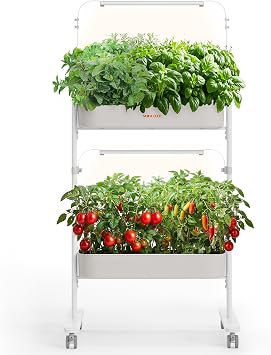 SUNCOZE 2-Tier Hydroponics Growing System Kit with 24 Pods Full Spectrum Grow Lights, Hydroponic System equipped with smart controller, Indoor Herb Garden Kit for Vegetables, Herbs, Fruits & Flowers