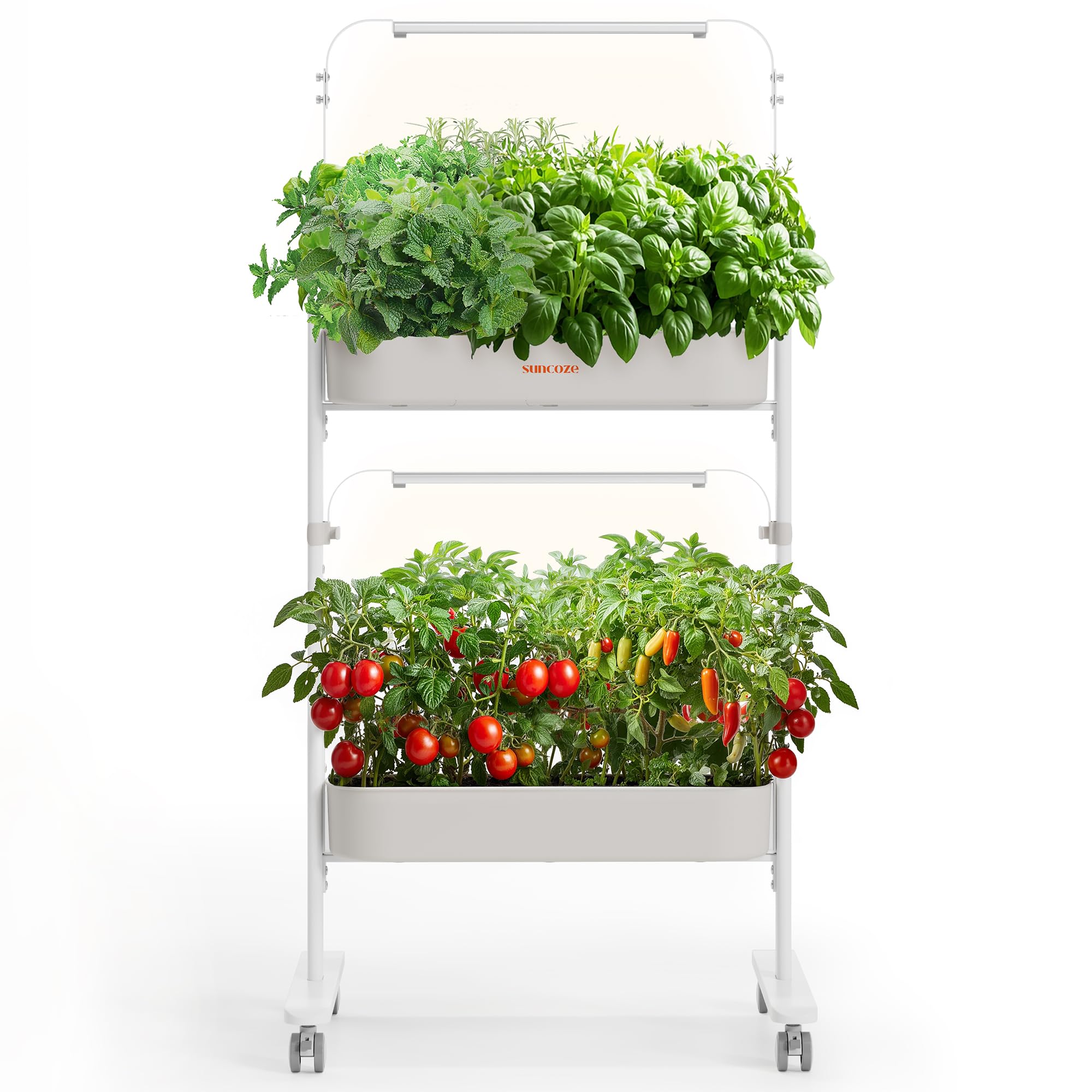 Amazon.com: SUNCOZE 2-Tier Hydroponics Growing System Kit with 24