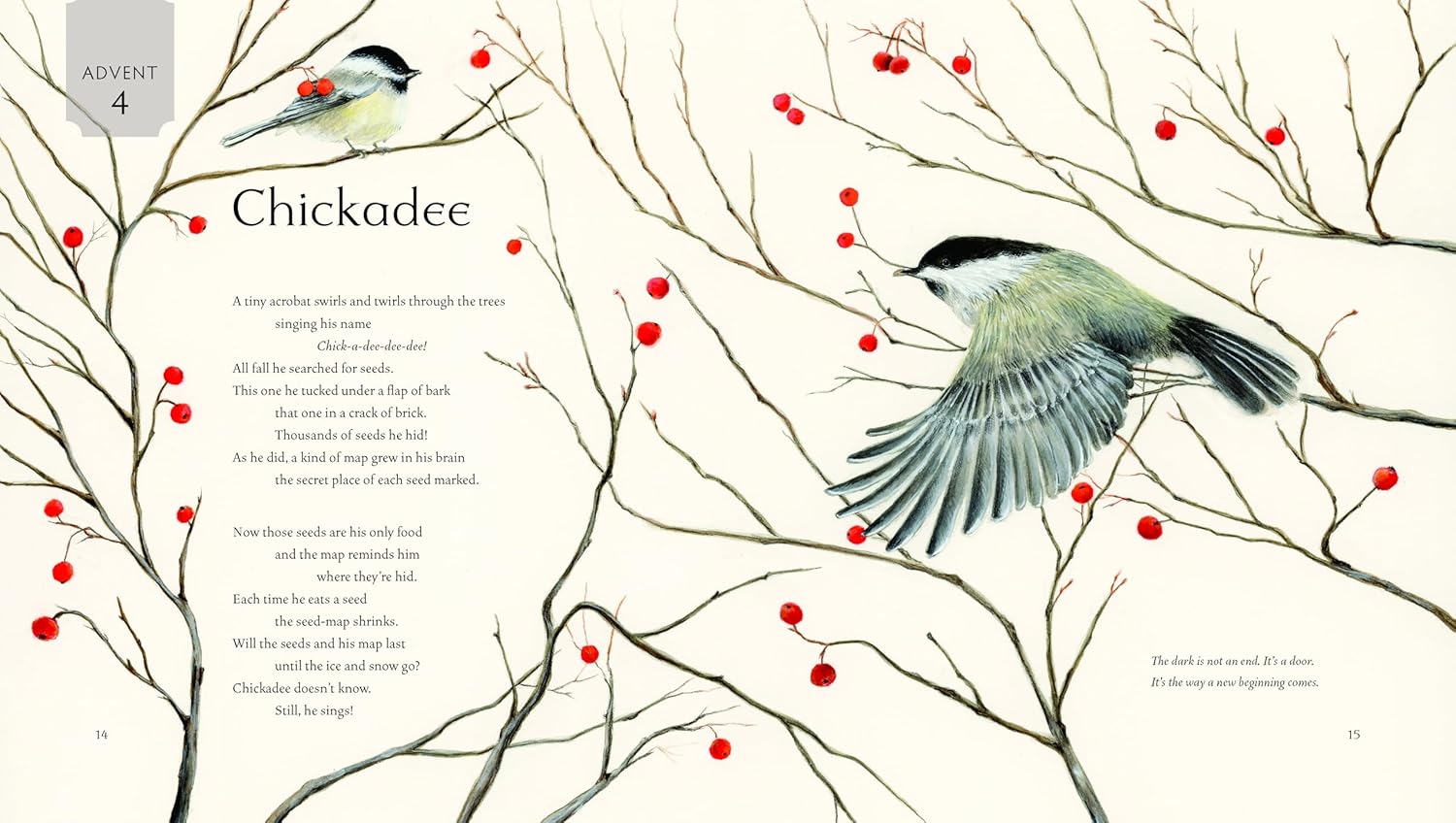 All Creation Waits ― Children's Edition: The Advent Mystery of New Beginnings for Children - Image 5