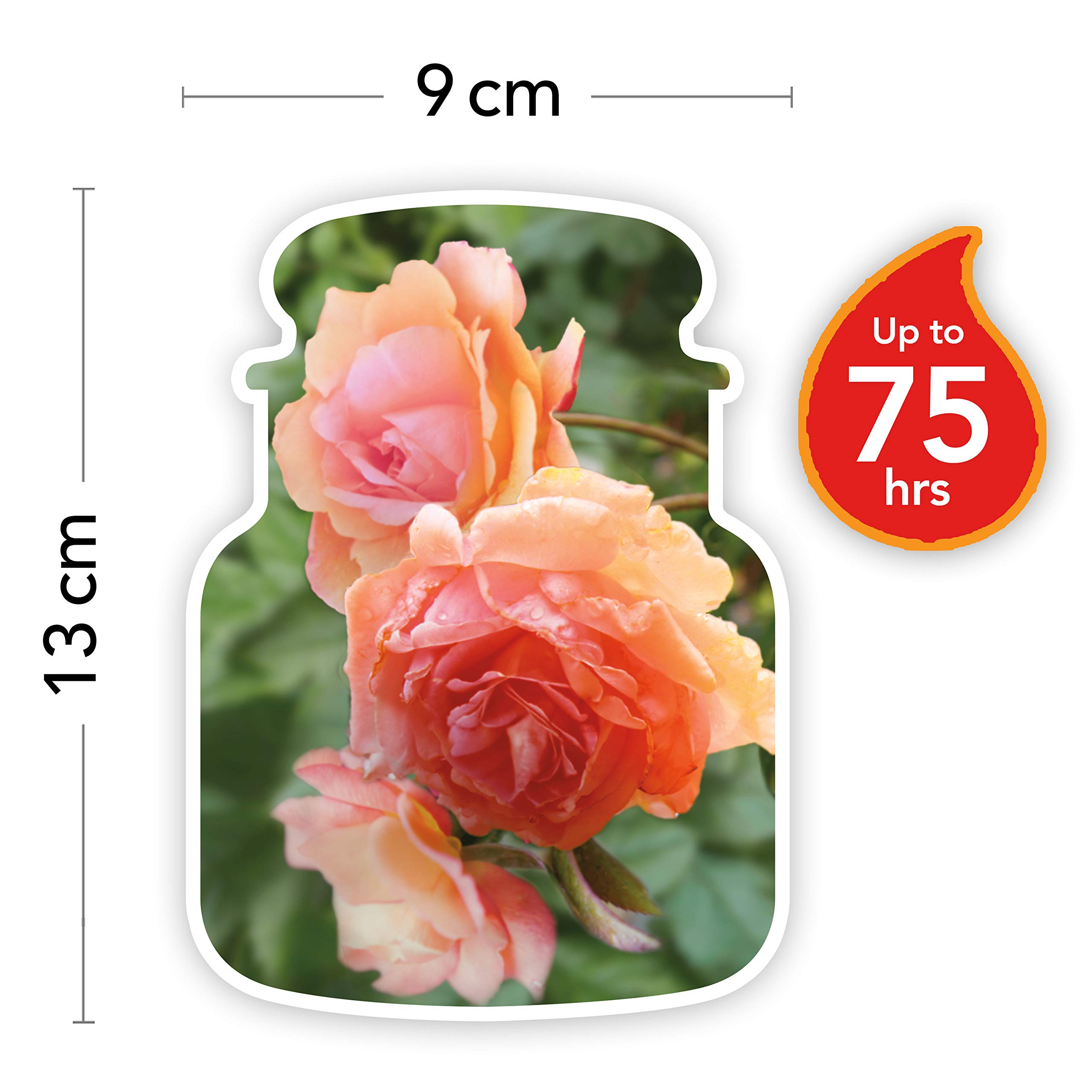 Yankee Candle Duftkerze im Glas (mittelgroß) | Sun-Drenched Apricot Rose | Brenndauer bis zu 75 Stunden