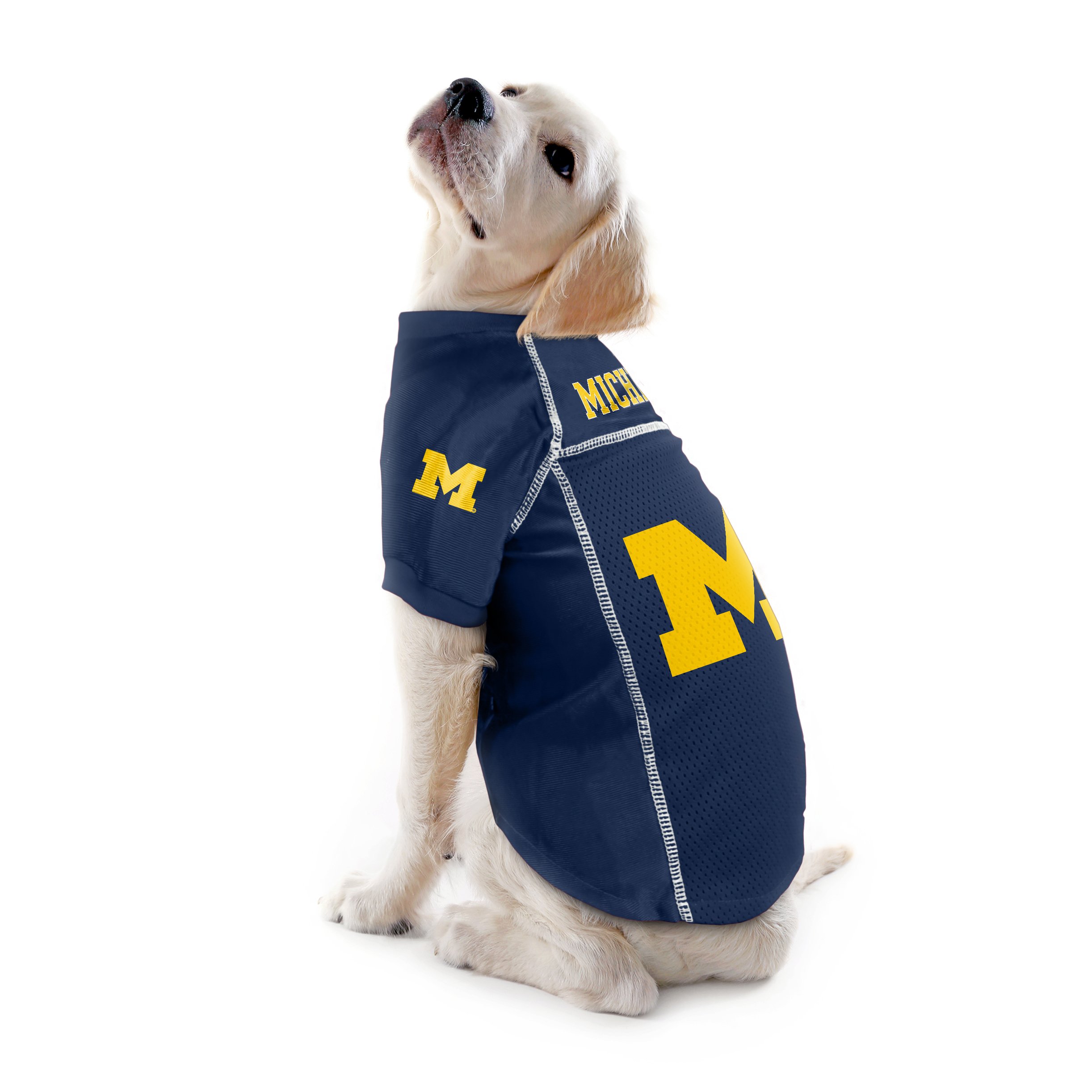 Little Earth NCAA Haustier-Trikot