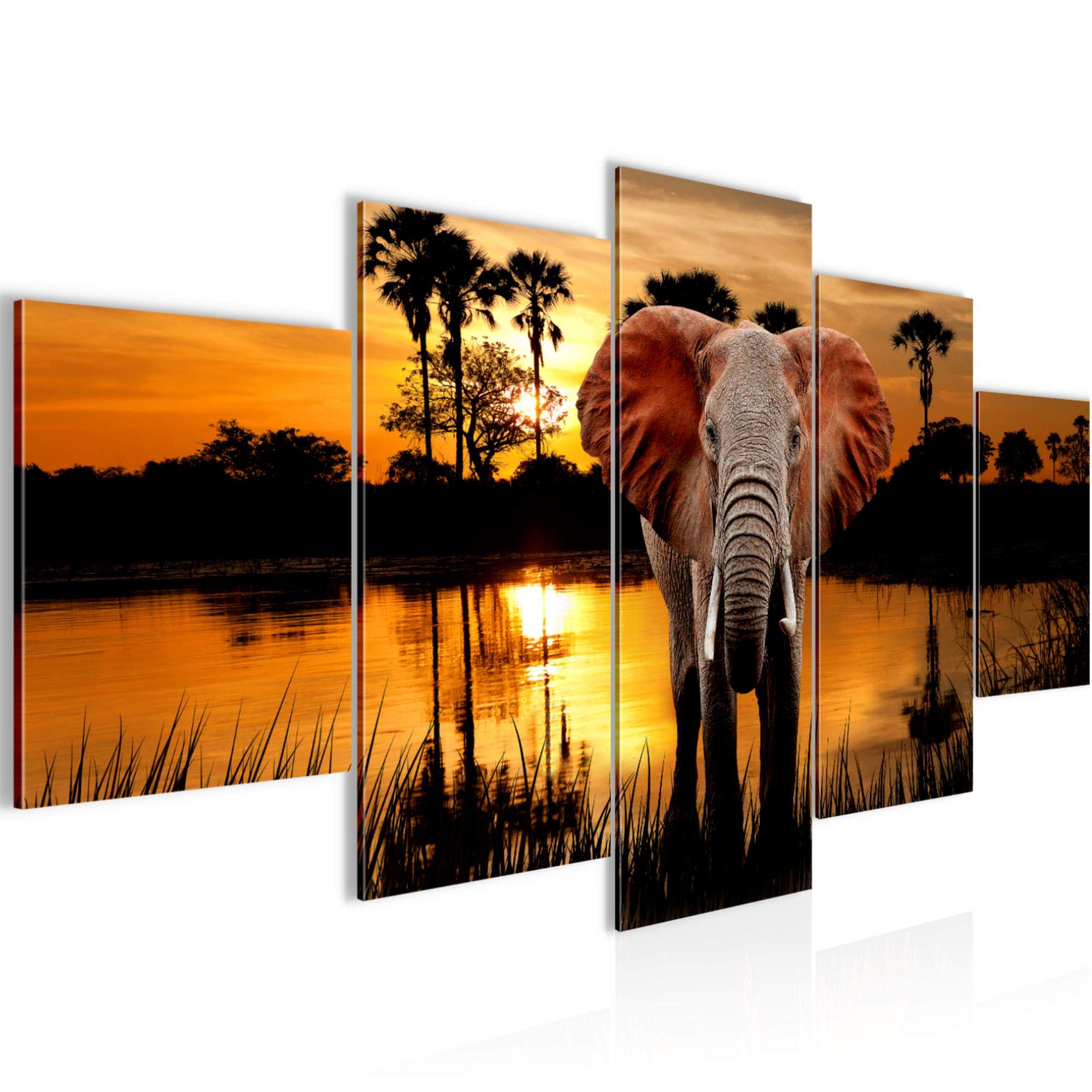 Tableau Afrique Éléphant Runa Art 5 parties XXL 200x100 cm décoration murale dessin orange