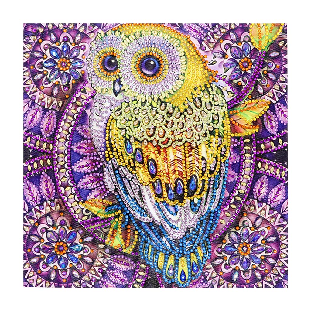 Hibah Diamond Painting DIY 5D Special Shape Rhinestone, Partial Diamond Crystal Diamond Painting Set (Owl 4)