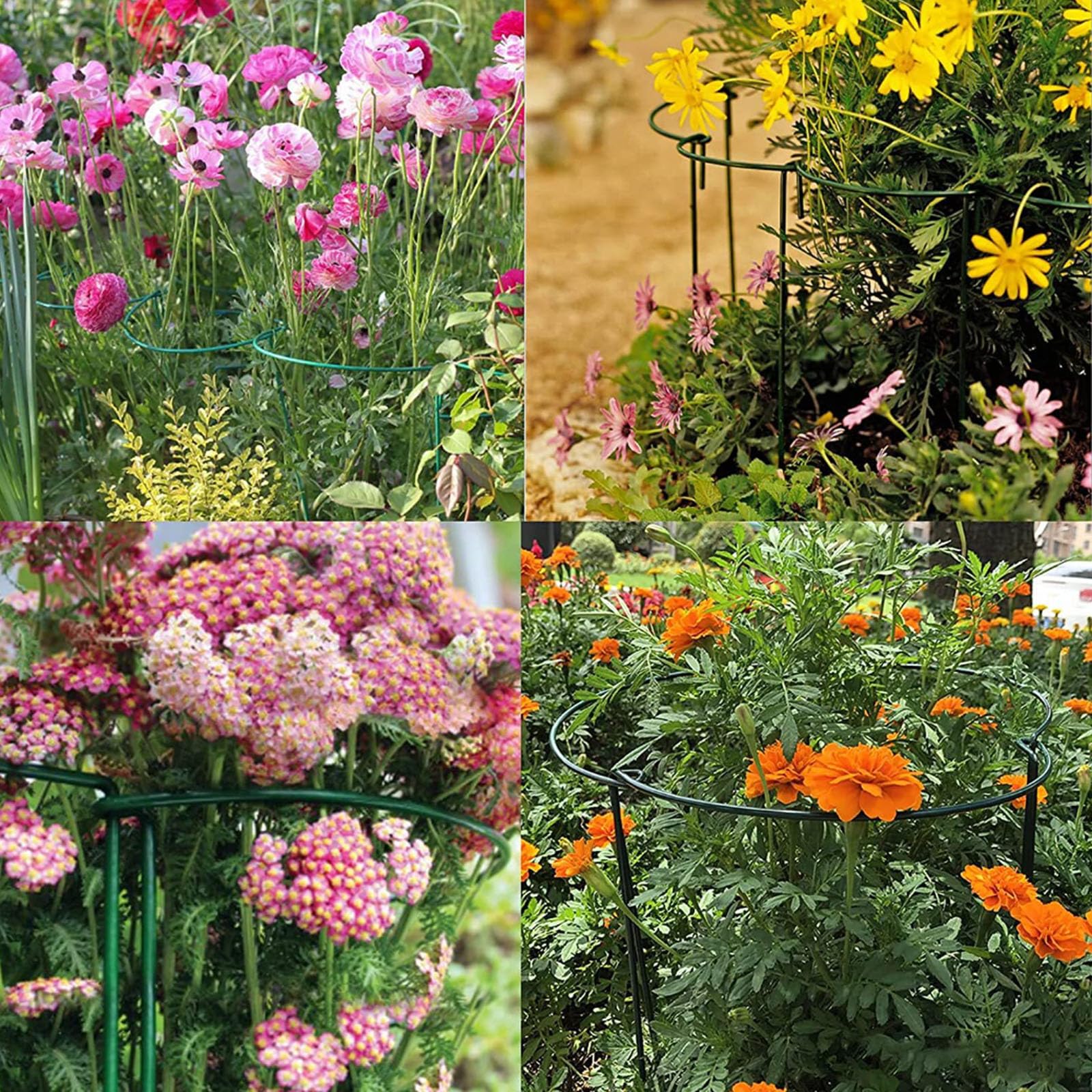 Lot de 10 piquets de support en métal pour plantes de jardin, demi-ronds pour plantes d'intérieur et d'extérieur – 30 cm x 35 cm