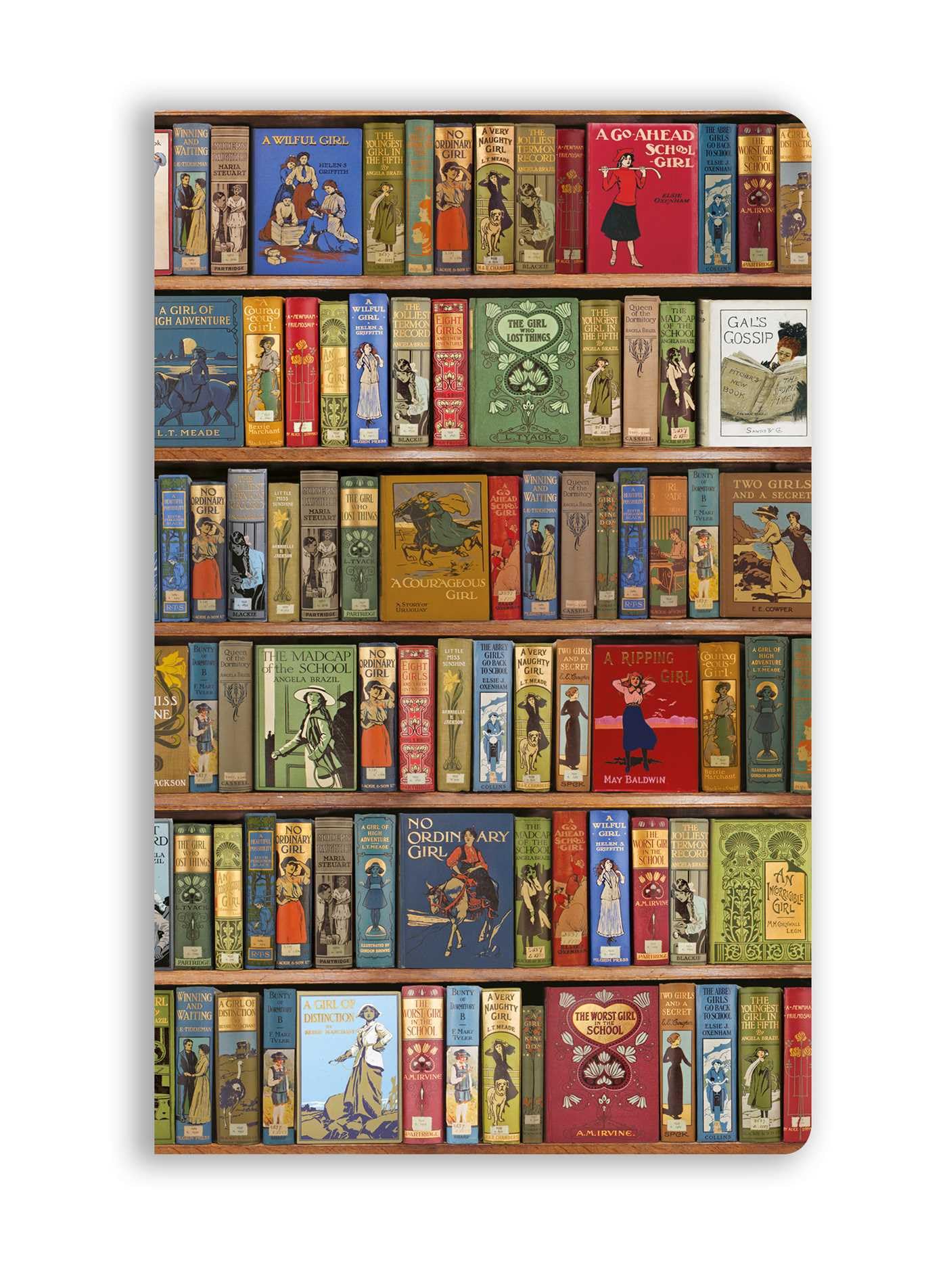 Bodleian Libraries: High Jinks Vintage Bookshelves (Soft Touch Journal) (Flame Tree Soft Touch Journals)