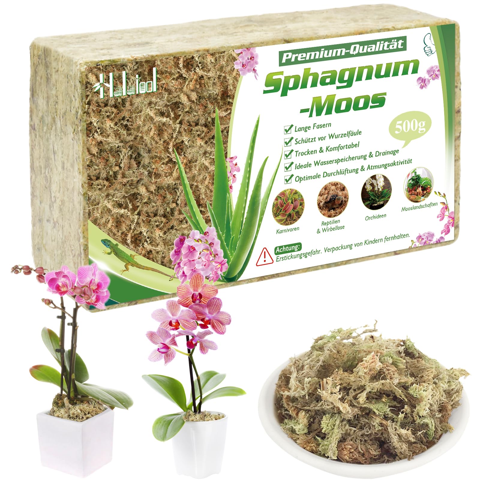 Halatool 500g Sphagnum Moos für Pflanzen,Natürliches Langfaser Torfmoos