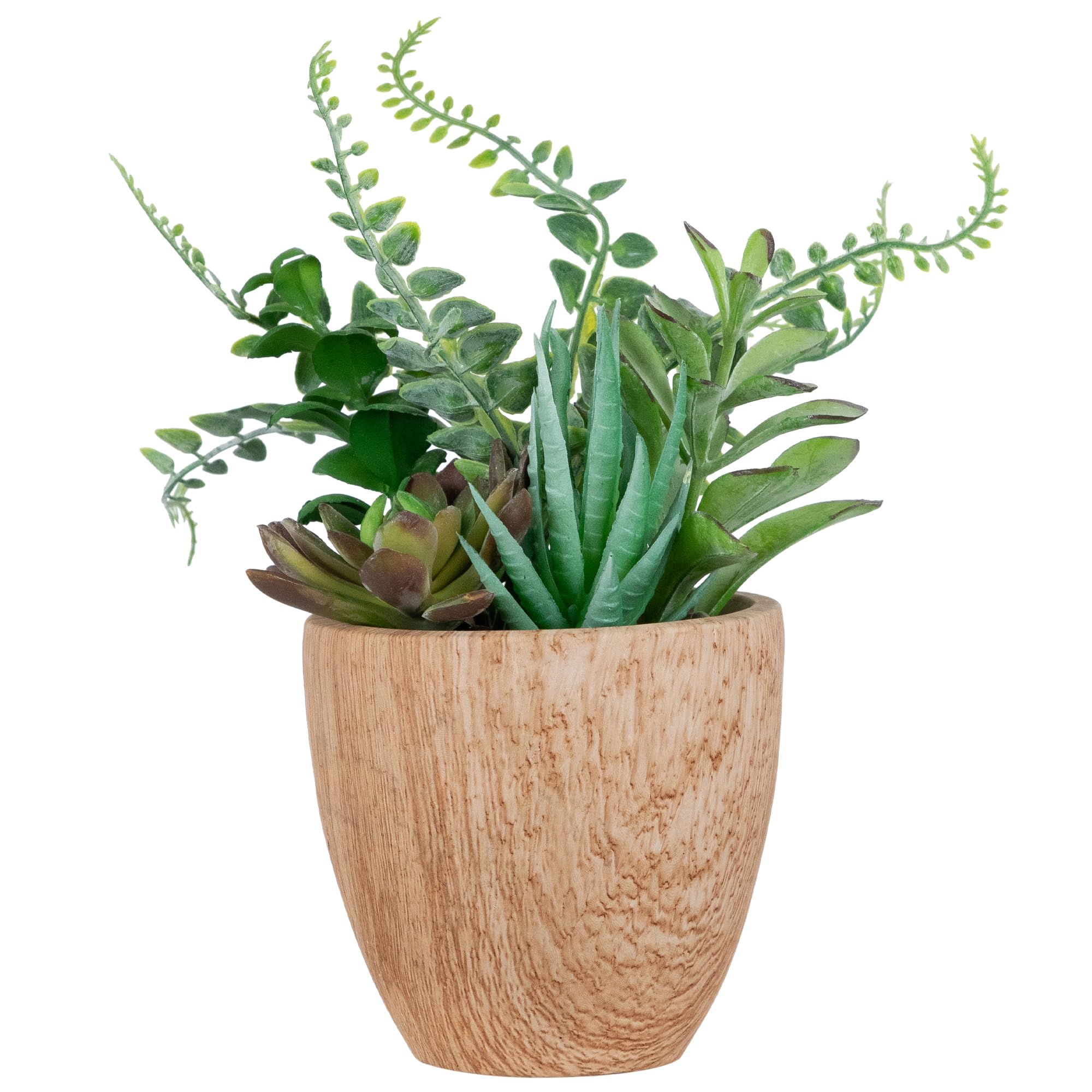 Northlight Seasonal 12 in. Artificial Succulents and Fern Plants in Pot