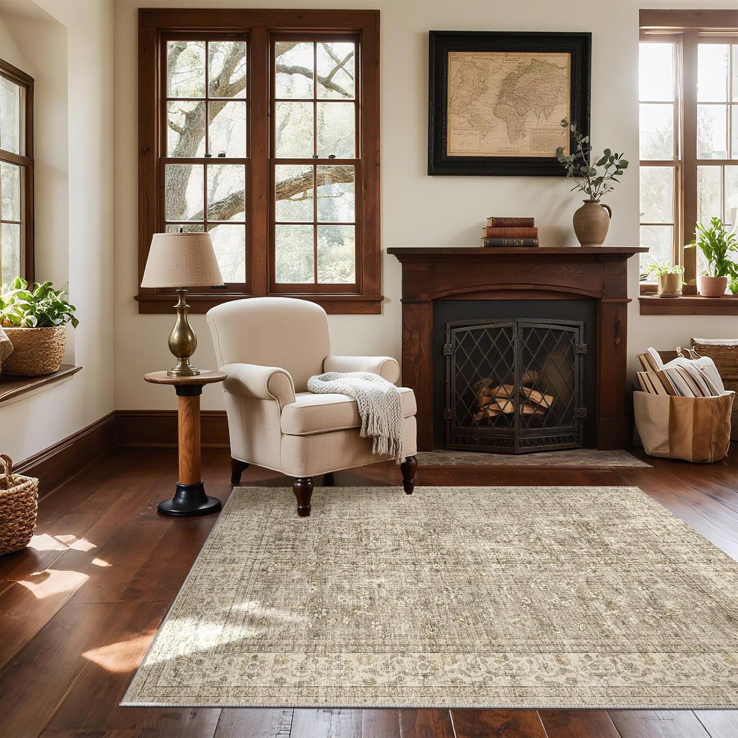 Washable Entryway Small Area Rugs: Door Mat Indoor Entrance 4x6 Boho Rug Stain Resistant Non-Slip Rubber Backing Soft Carpet for Kitchen Front Door Indoor Entrance Entry Bedroom Kids Room 4' x 6' (Rectangular) Brown and Grey