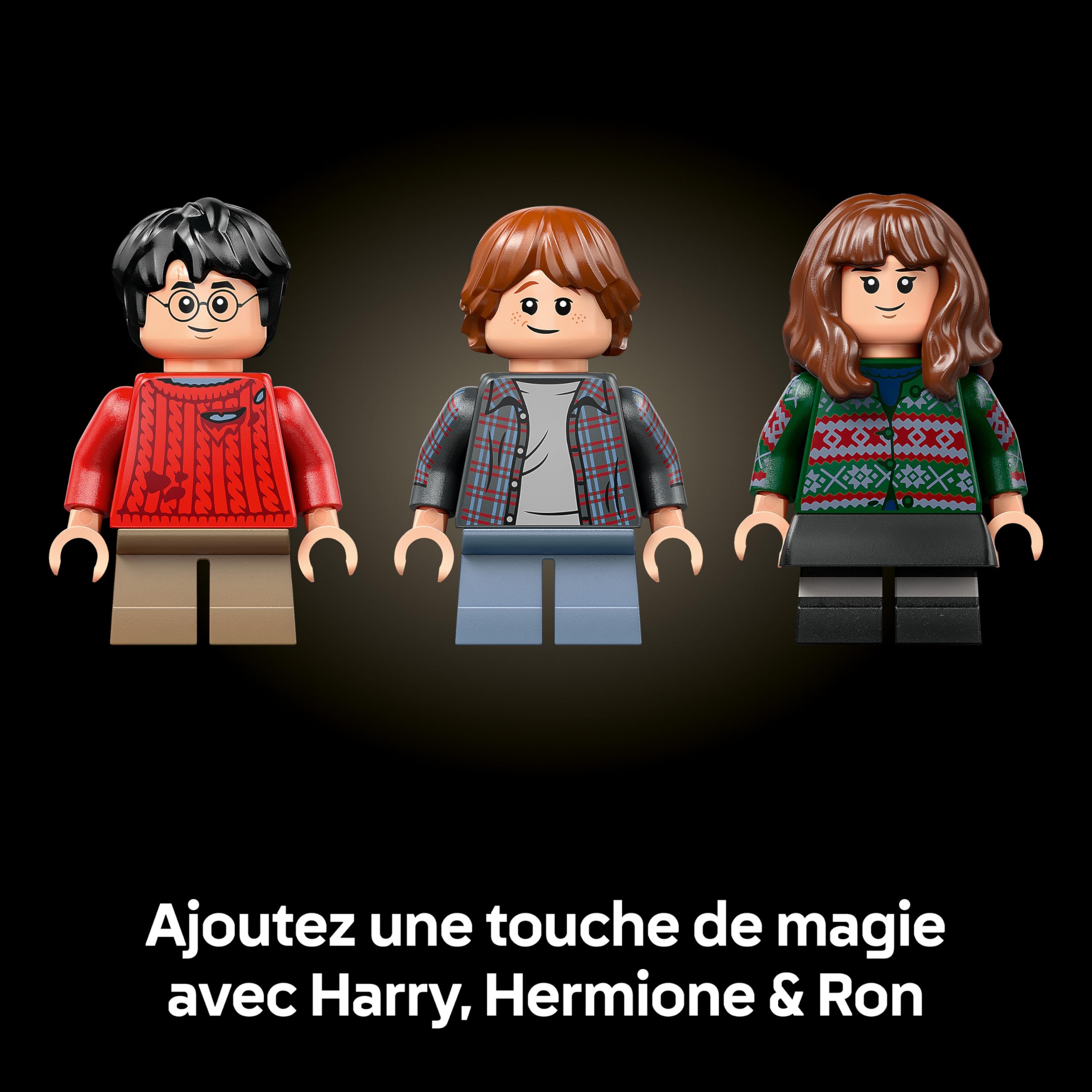 LEGO Harry Potter L’École des Sorciers – Édition Collector - Maquette DIY - Décoration Intérieure - Scènes Miniatures du Film - Figurine d'Hedwige - 3 Minifigurines - Idée Cadeau pour Fan Adulte 76466