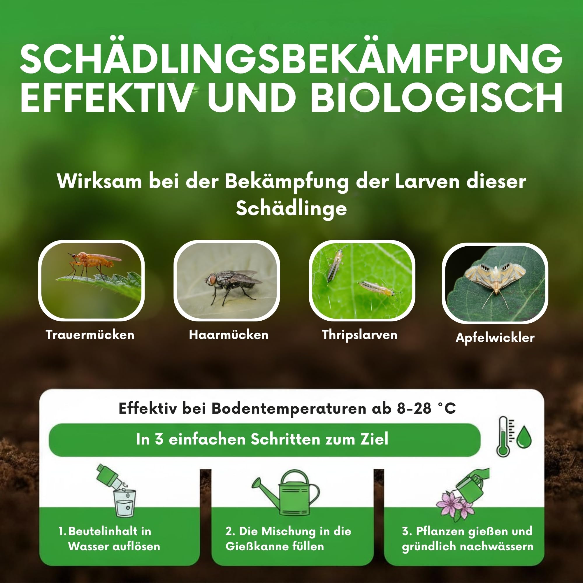 SF- Nematoden 100 mio für 200 m² gegen Trauermücken, Thrips, Weiße Fliege und weiteren Schädlingen biologische Schädlingsbekämpfung mit Fadenwürmern