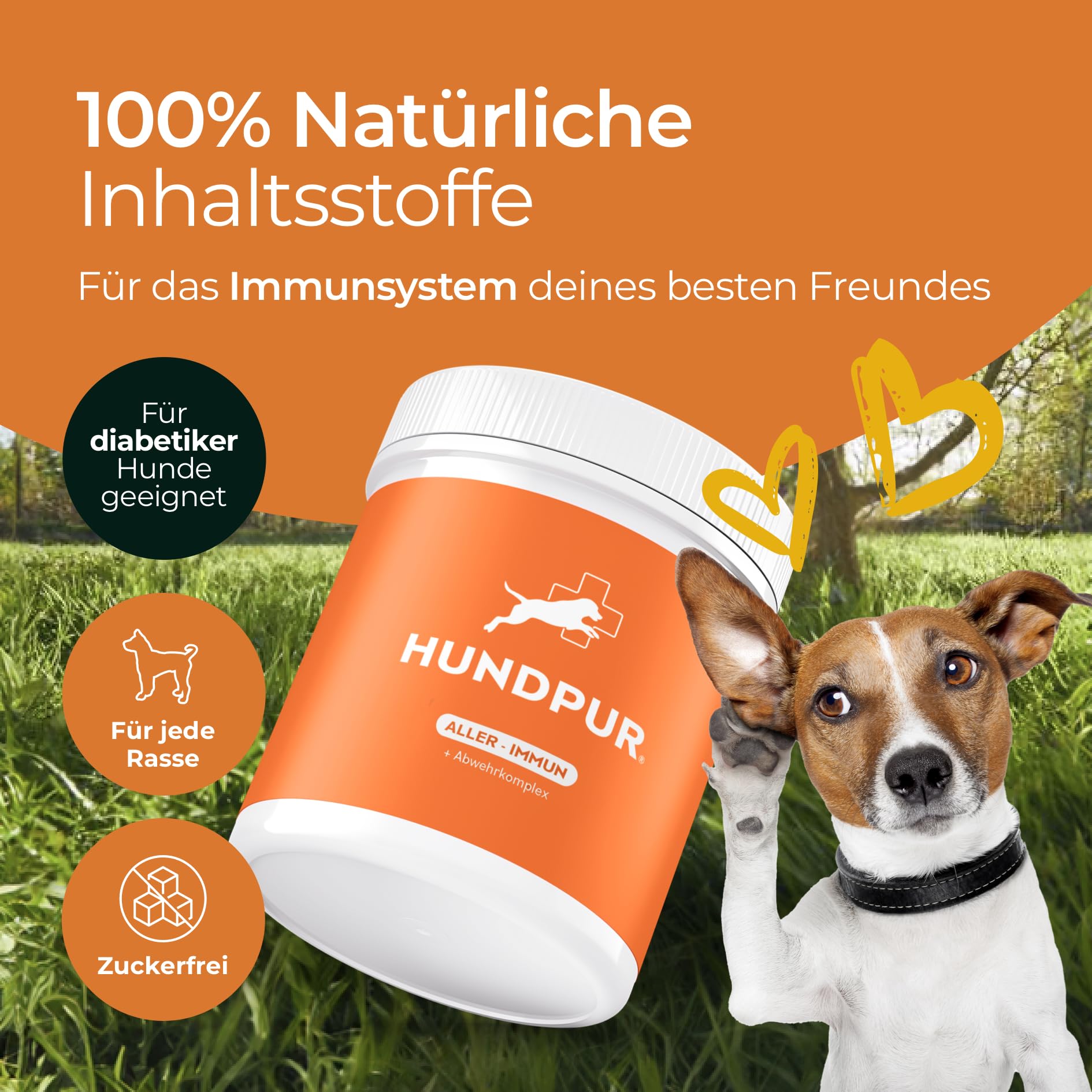 Aller-Immun 300 g – dodatkowa karma – granulki multiwitaminowe dla psów – kompleks witaminy B, witamina C i propolis – suplement diety dla psów – Made in Germany