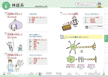 解剖生理学 超速! ゴロ勉 | ゴロー, 大和田 潔 |本 | 通販 | Amazon