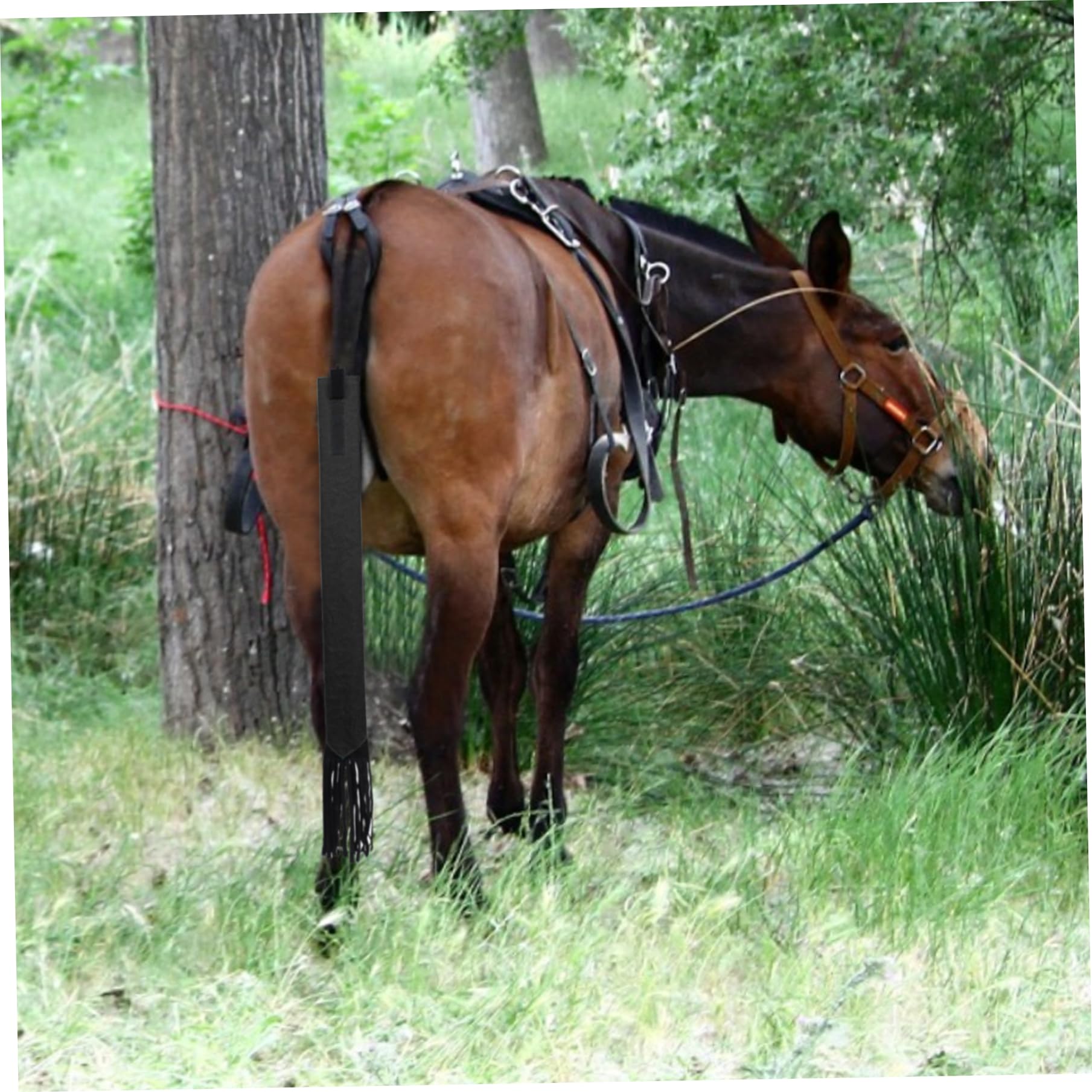 Sac de Queue de Cheval Anti-poussière 22x3 Pouces avec Franges, Rouge