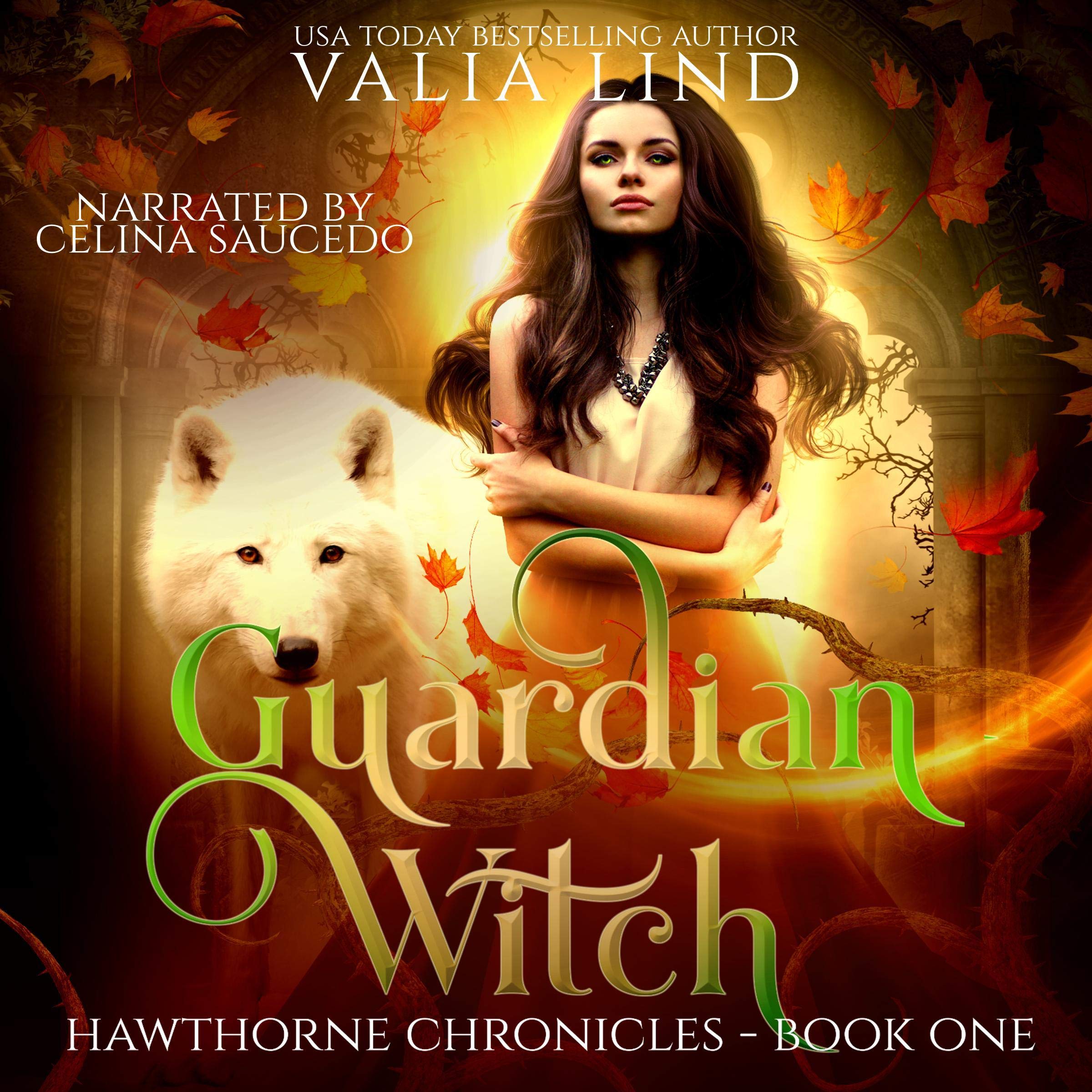 Cover art for Guardian Witch