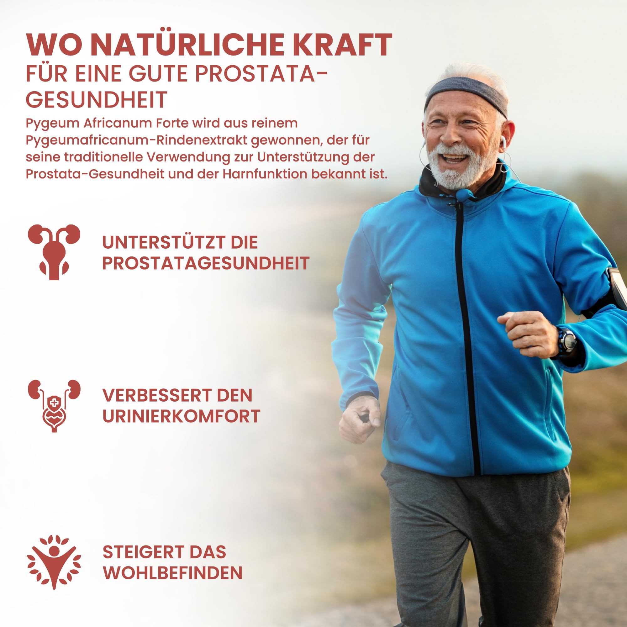 Pygeum africanum | 5.000 mg Äquivalent | 250 mg 20:1 Rinden-Extrakt (13% Phytosterole) | 120 vegane Kapseln | 4-Monats-Vorrat | Prunus africana | GMP & Laborgeprüft