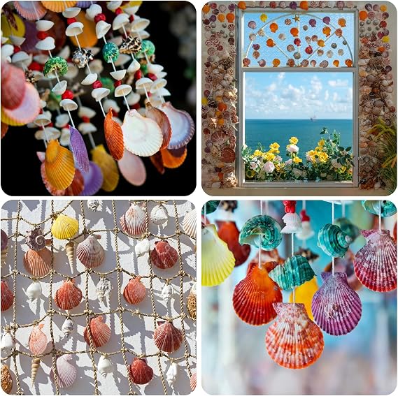 Lanwexy 25PCS Sea Shells Scallop Shells Natural White Sea Shells for DIY Craft Crafting,Painting,Baking,Home Decor and Beaching Wedding Decoration (6-8CM) Seashells Bulk