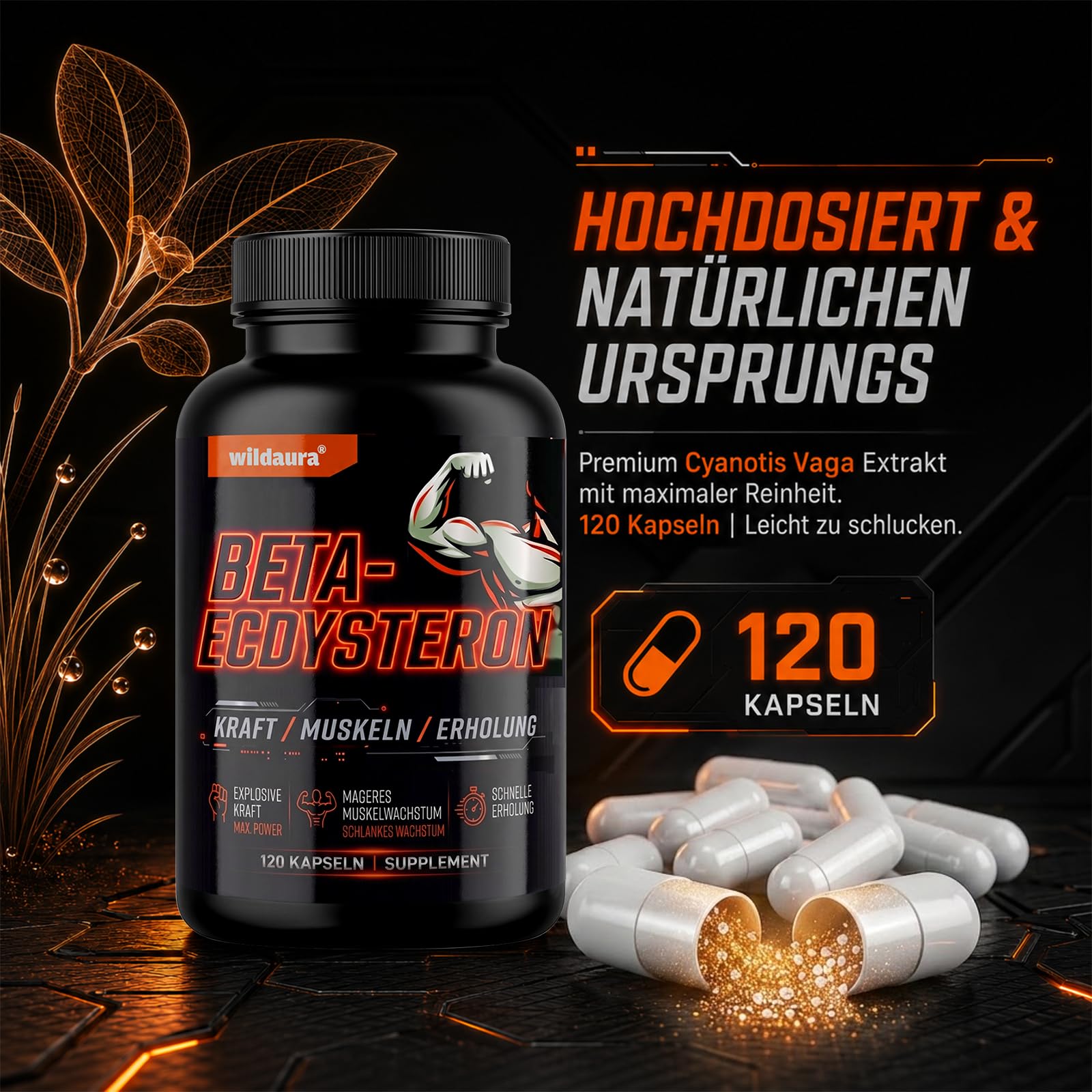 Beta Ecdysteron, 1200mg Hohe Reinheit Ecdysterone Supplement für Muskelaufbau, Fitness & Kraftsport, 120 Vegane Kapseln