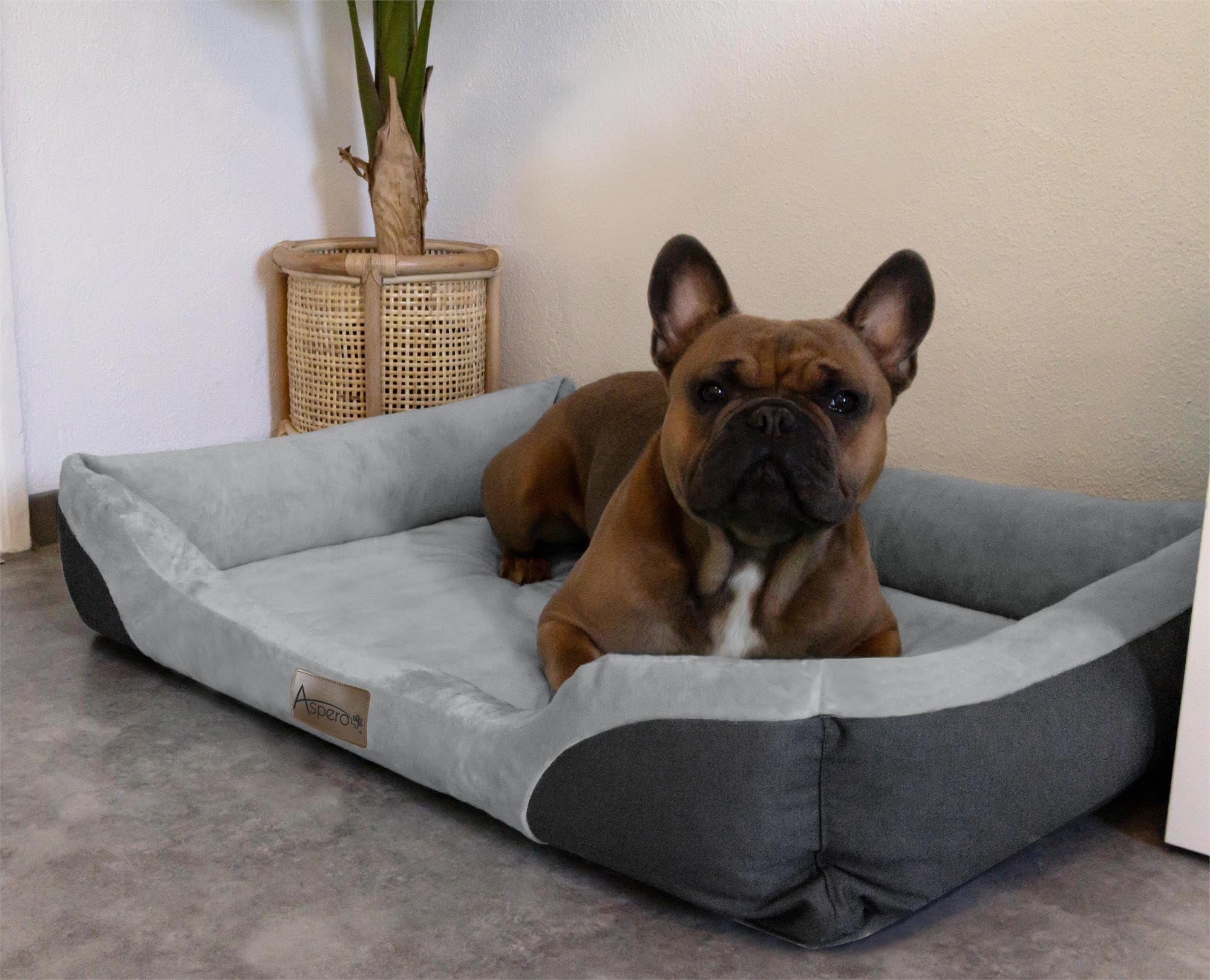 normani Hundebett Hundekissen für kleine, mittelgroße und große Hunde - waschbare Hundekörbchen mit hohem Rand 80x120, 70x100, 60x80, 40x50 Grau 70 cm x 100 cm