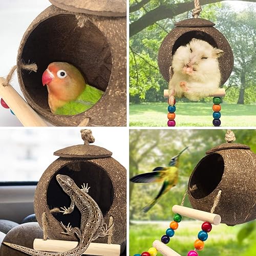 Hanging Coconut Birds House with Ladder,Natural Coconut Fiber Shell Bird Nest for Parrot Parakeet Lovebird Finch Canary,Coconut Hide Birds Swing Toys for Hamster,Bird Cage Accessories,Pet Bird Supply