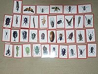 Review Image by Lucy Seo_south korea Lucy Seo_south korea