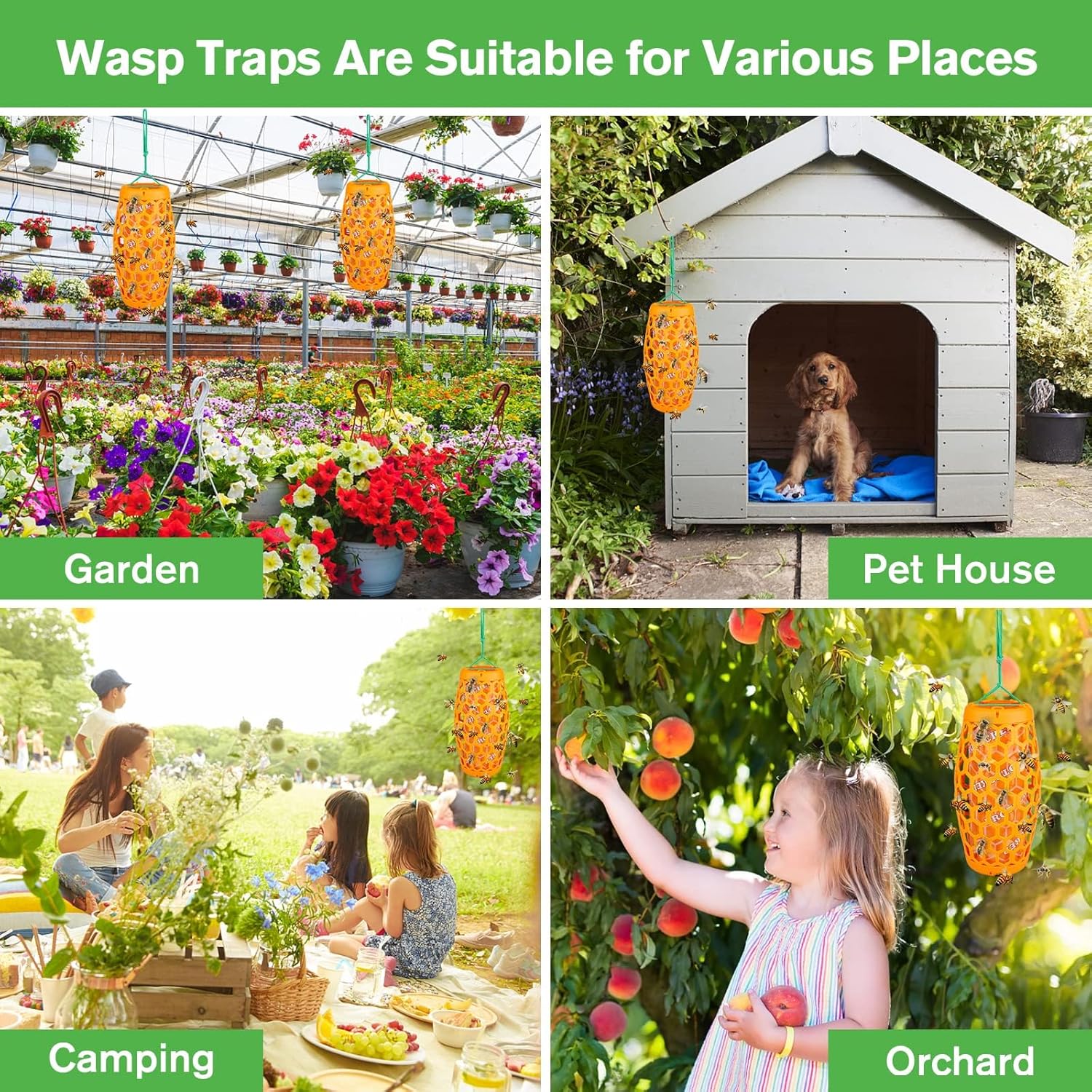 Wasp Trap Bee Catcher - Outdoor Hanging Carpenter Bee Traps with 4 Sticky Boards, Non-Toxic Reusable Hornet & Yellow Jacket Trap, 2 Pack (Orange)