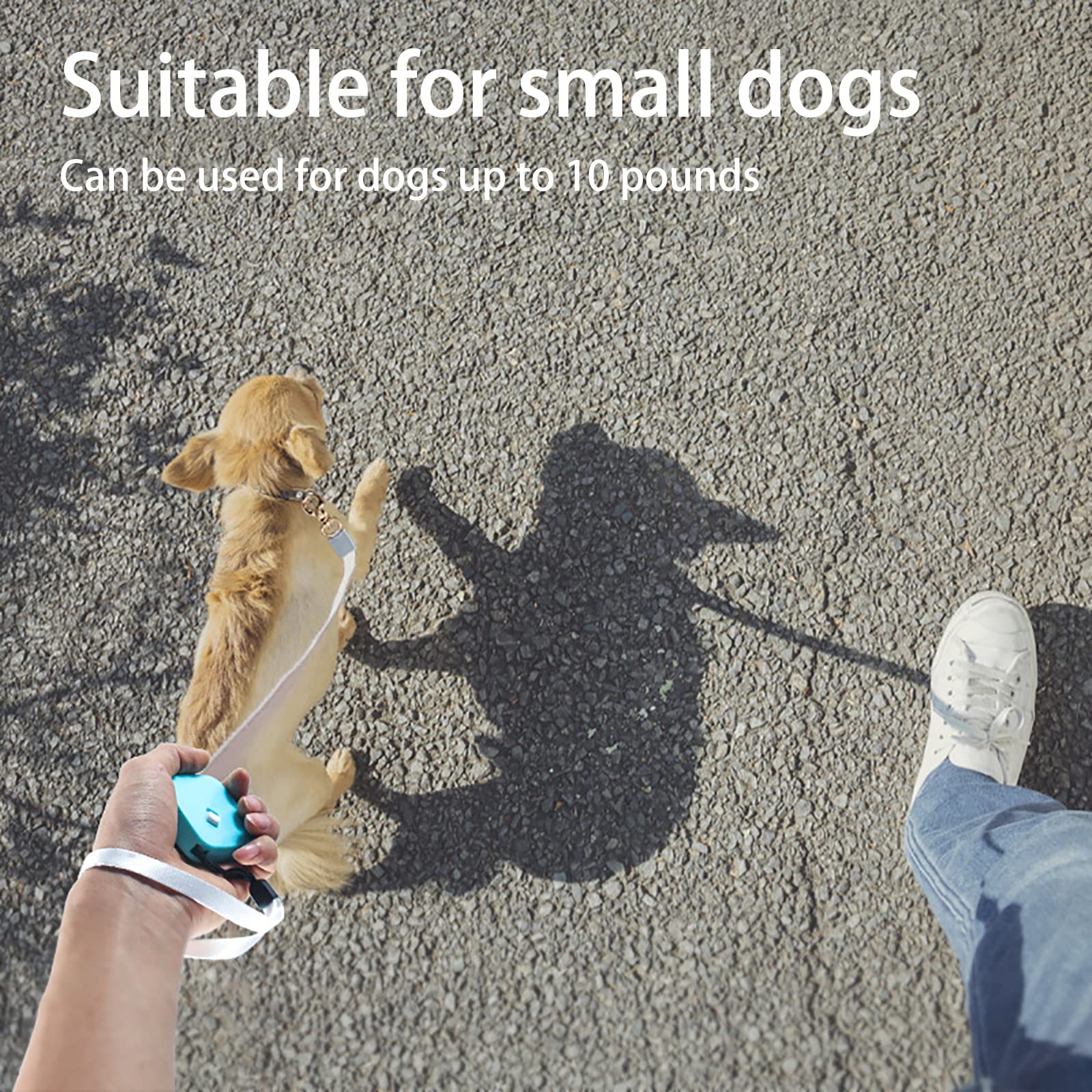 Guinzaglio per Cani Allungabile Lunghezza 3 Metri Guinzaglio Retrattile 2 Metri per Addestramento e Passeggiata Guinzaglio per Cani Estensibile