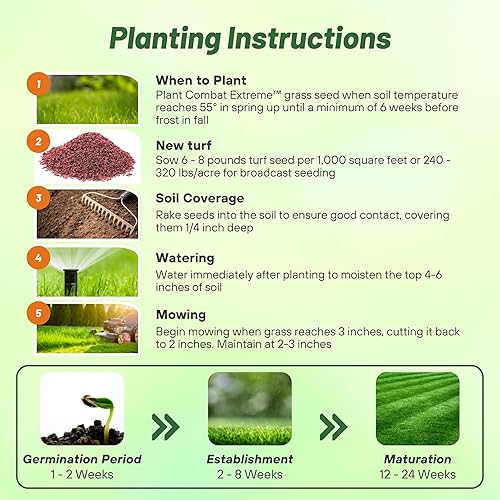 Miniatura 3 de Outsidepride Combat Extreme Southern Zone Césped Semillas de césped tipo festuca y mezcla híbrida Bluegrass de 25 lb