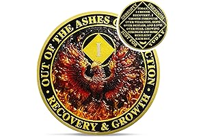 Delicate Phoenix 1 Year Sober Coin: Celebrate a Year of Recovery