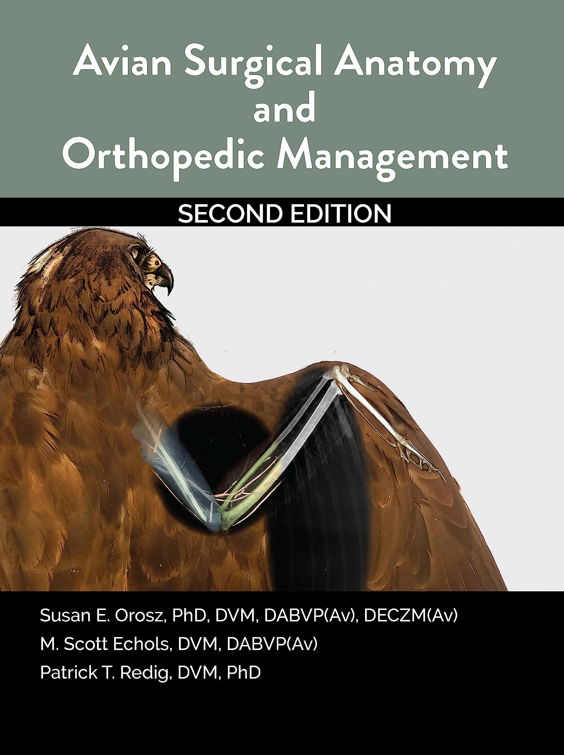Surgical Complications and Management Strategies，An issue of Veterinary Clinics: Equine Practice (Volume 24-3) (The Clinics: Veterinary Medicine，Volume 24-3) [ハードカバー] Goodrich DVM  MS  PhD，Laurie Surgical Complications and Management Strategies, An issue