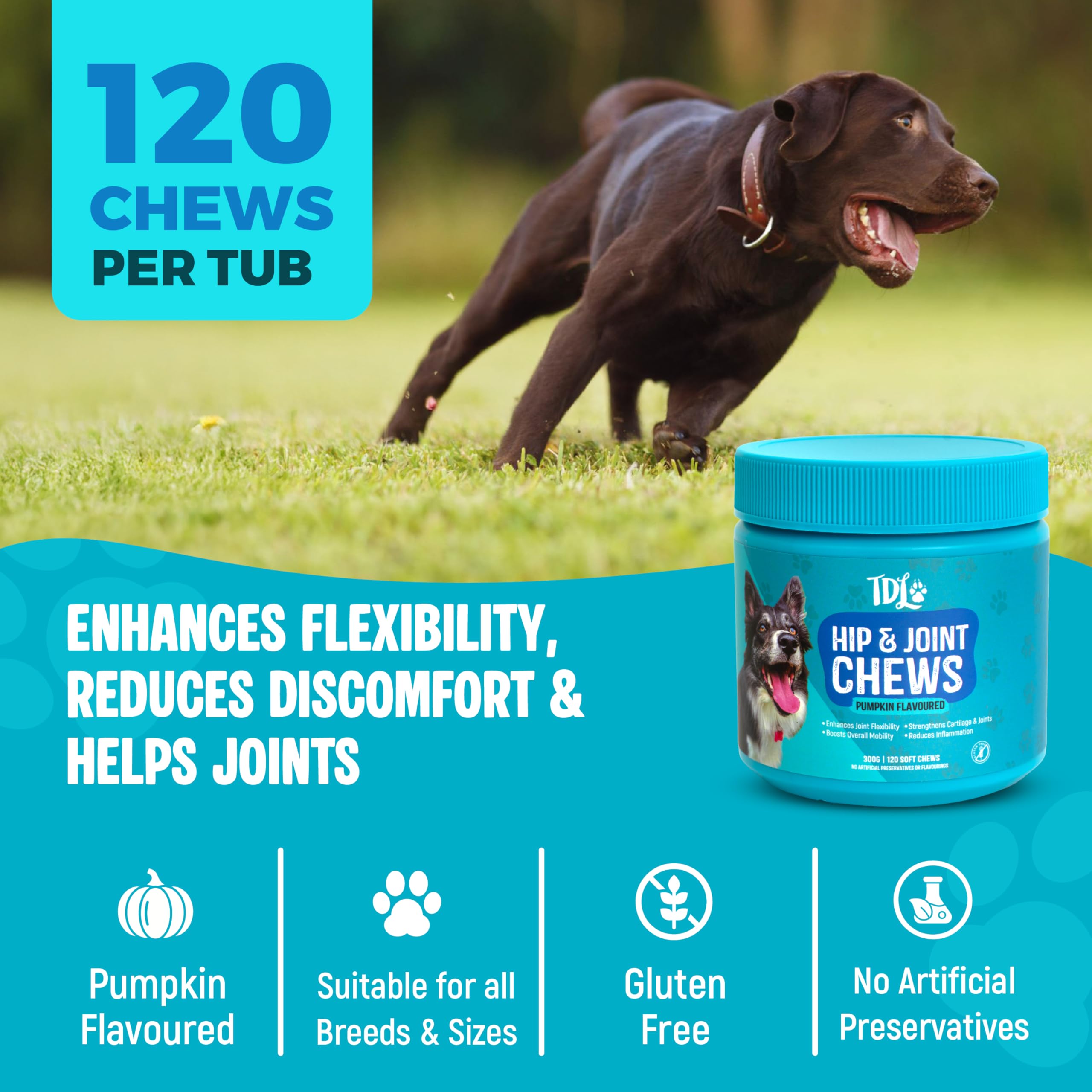 Hip & Joint Care for Dogs, 120 Pumpkin Flavour Soft Chews - Image 2