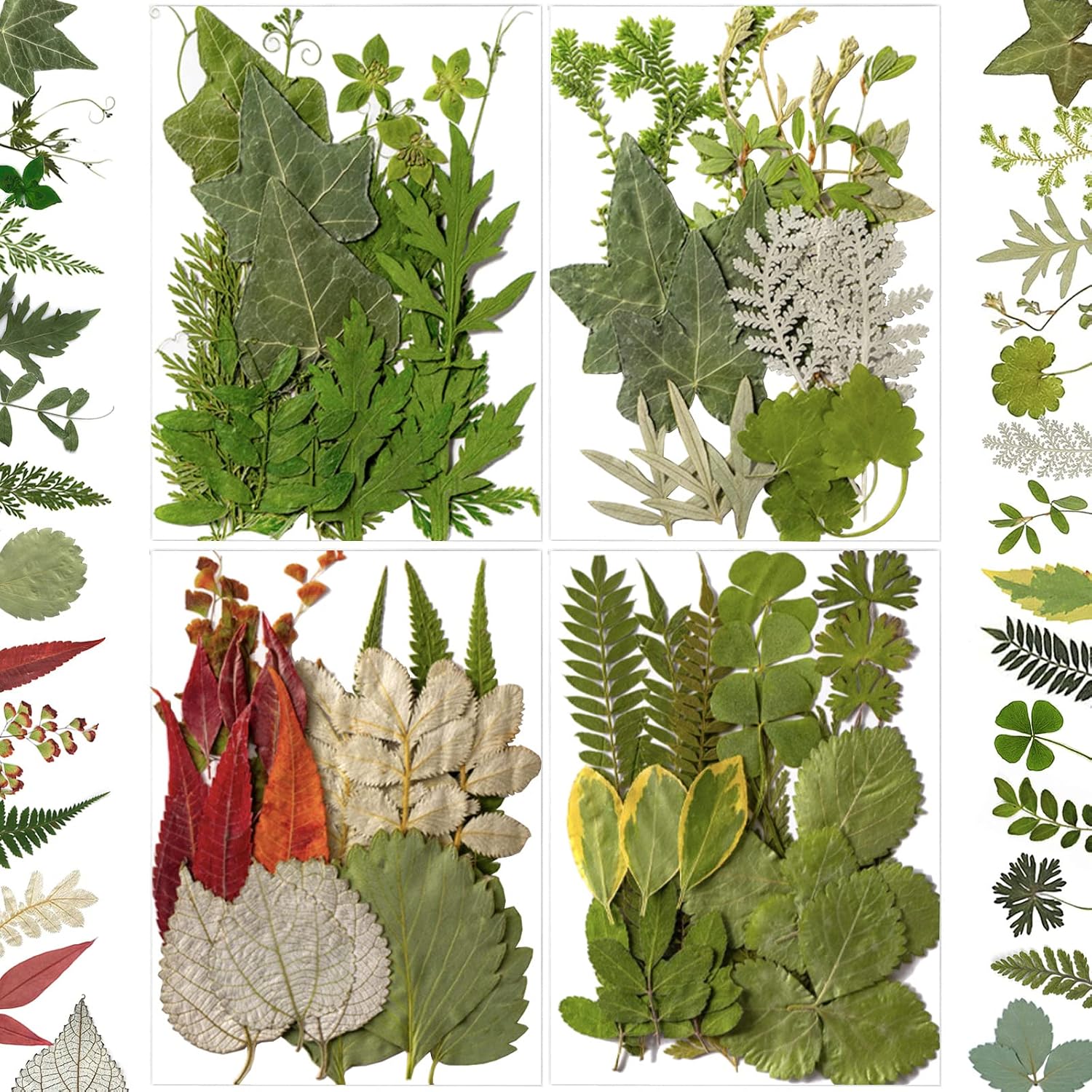84 Pcs Dried Leaves Pressed Flowers for Resin Molds, Real Natural Assorted Dry Greenery for Leaf Craft DIY, Jewelry Making, Decoration Supplies, Soap and Candle Making