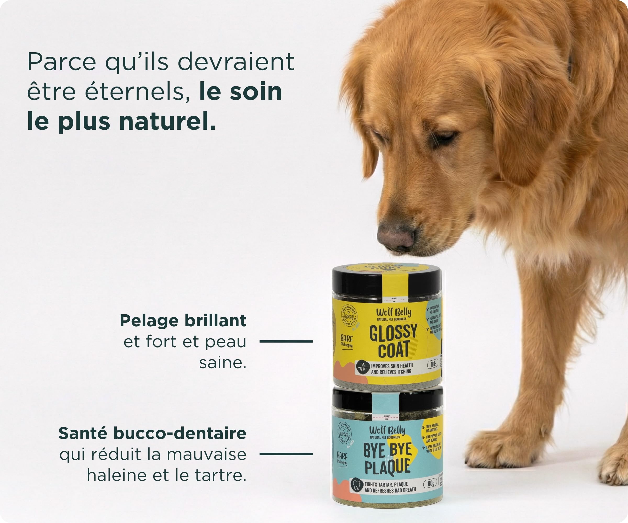 Wolf Belly - Pack Complément Peau et Hygiène Dentaire 100% Naturel (180g) | Anti tartre + Anti demangeaison | pour Chiens et Chats | Format Poudre - Fabriqué en UE