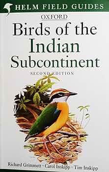 洋書 BIRDS OF PREY OF THE INDIAN SUBCONTINENT Birds Of Prey Of The Indian Subcontinent, , Rishad Naoroji