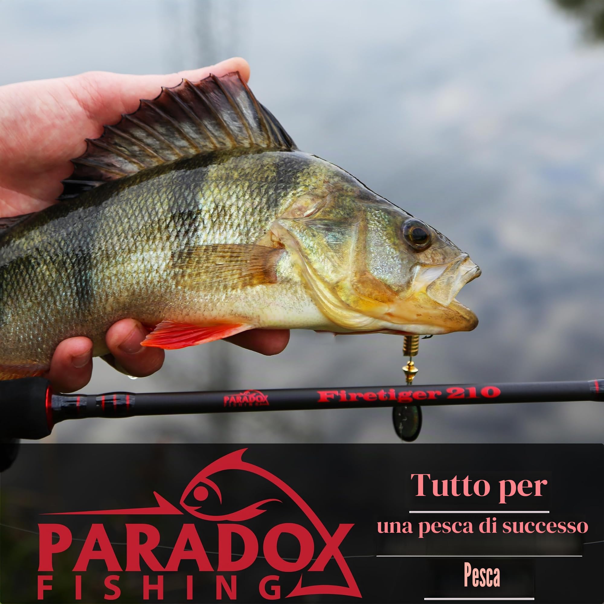 Paradox Fishing Retino gommato, 1,6 m/2,1 m, telescopico, retino da pesca gommato, retino gommato, retino da pesca