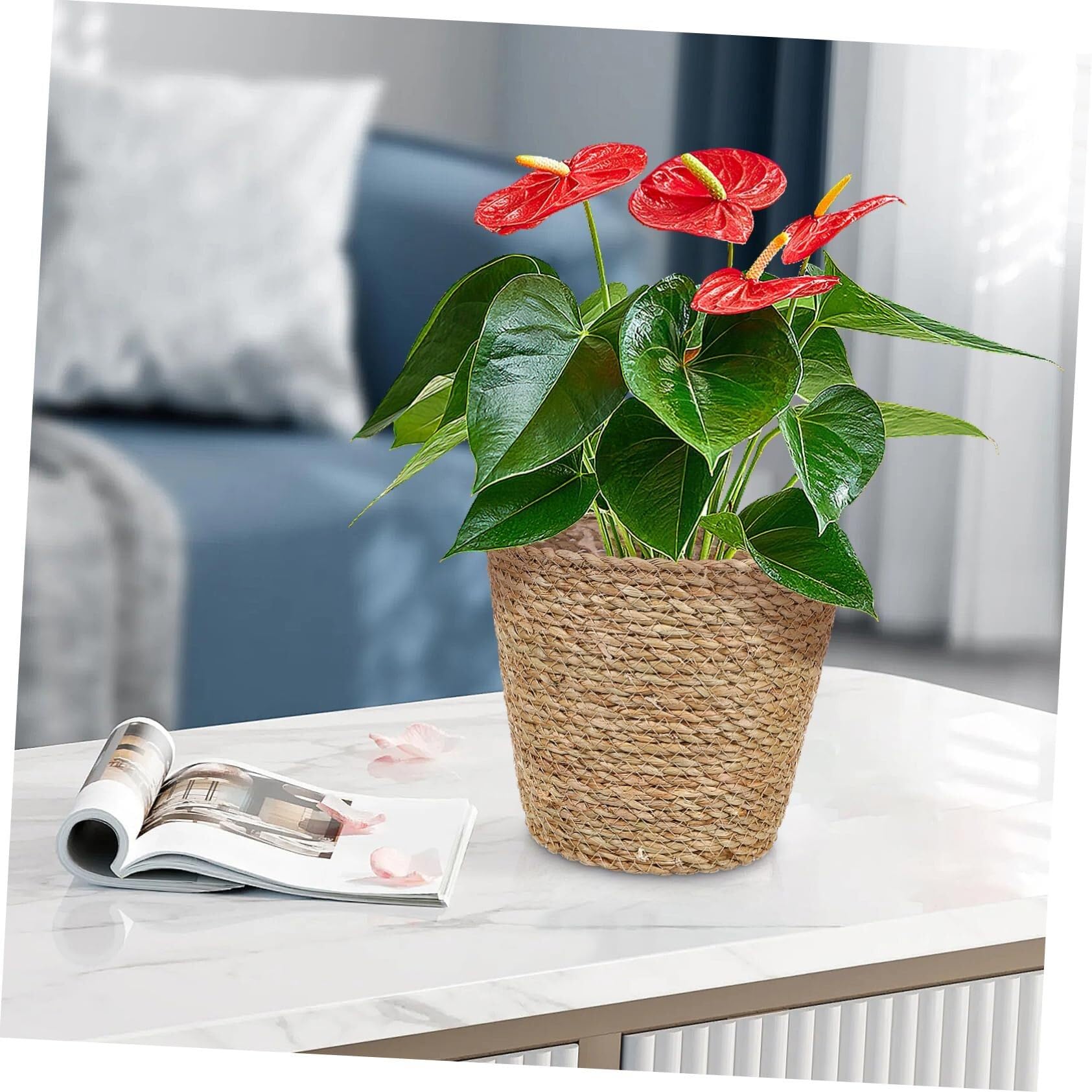Elegante cesto per piante intrecciato in paglia, grande vaso per fiori in alghe marine, regalo decorativo per gli amanti delle piante (marrone chiaro)