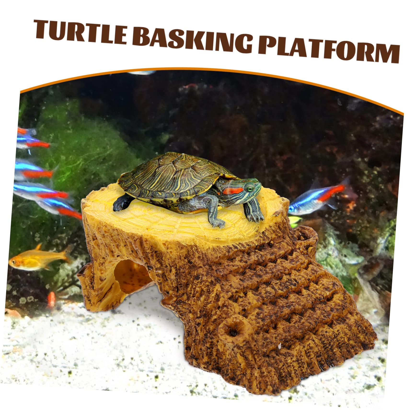 Reptielen Schuilhut What Is Reptile Hide Box With Humidifier Groove ...