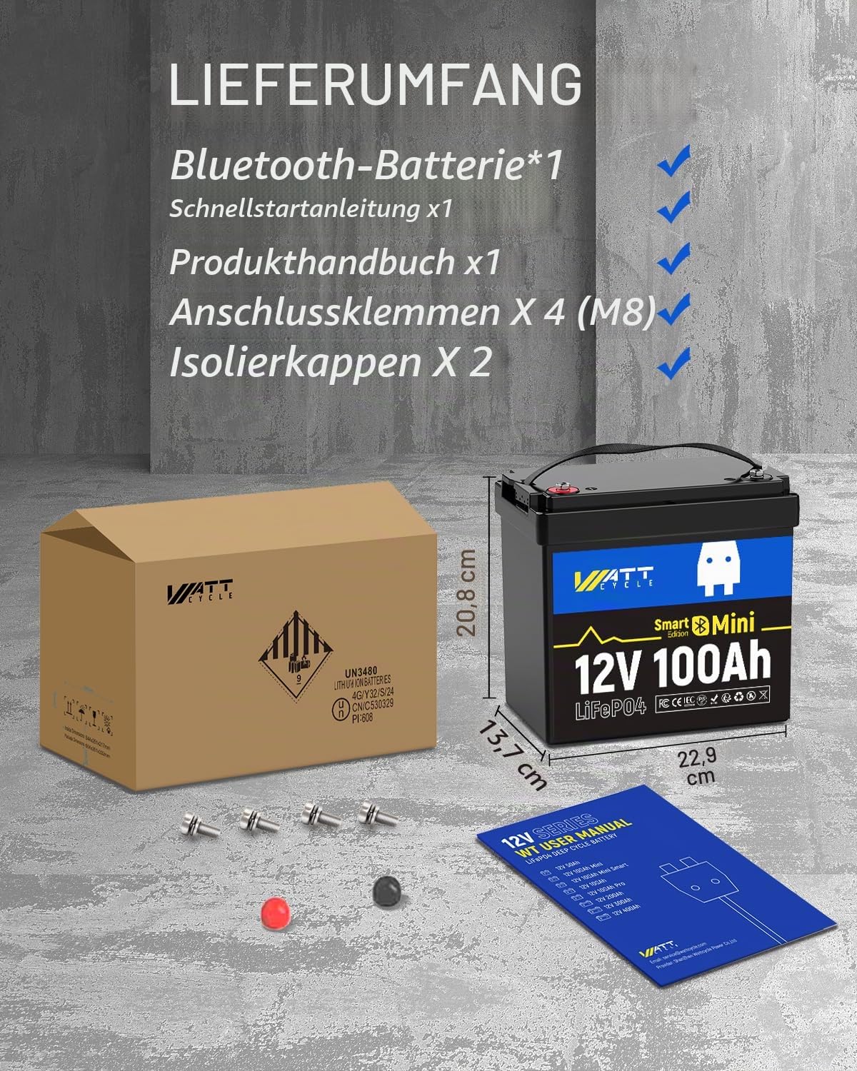 WattCycle 12V 100Ah Mini LiFePO4 Bluetooth, 1280Wh Lithium Batterie 12V | 100A BMS Low Temperature Schutz,und Max. 15000 Zyklens für Wohnmobil,Solaranlage,Wohnwagen