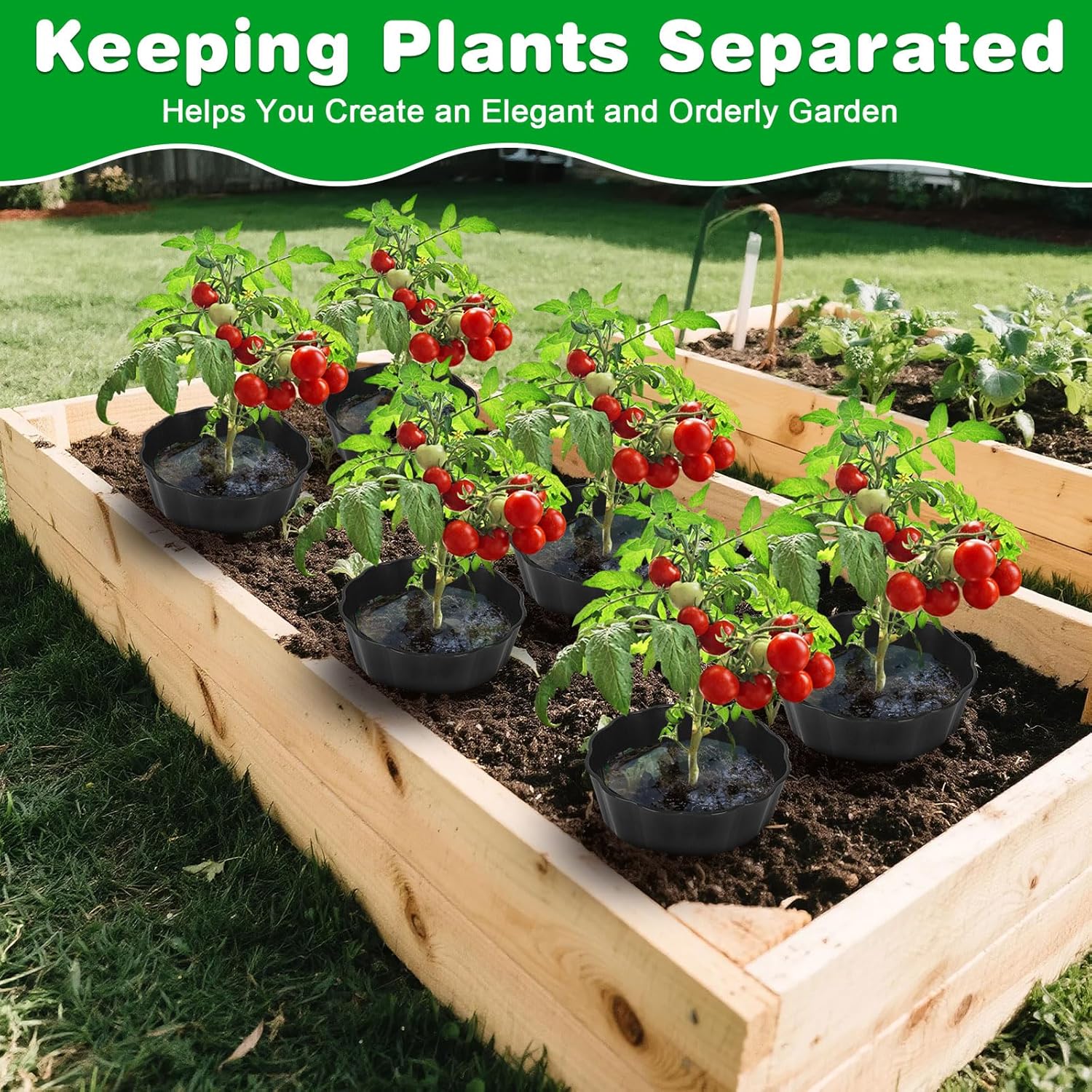 6 Pack of 10 Inch Planting Grow Rings, Planting Protective Round Garden Edging, Keeping Plants Separated, Weed Control and Directing Water to the Roots (10 Inch - 6 Pack - Black)