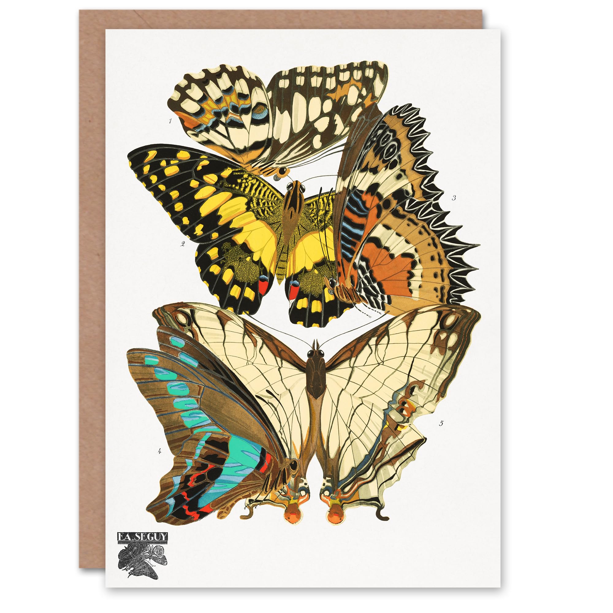 Eugene Seguy Art Card Papillons Butterflies Illustration