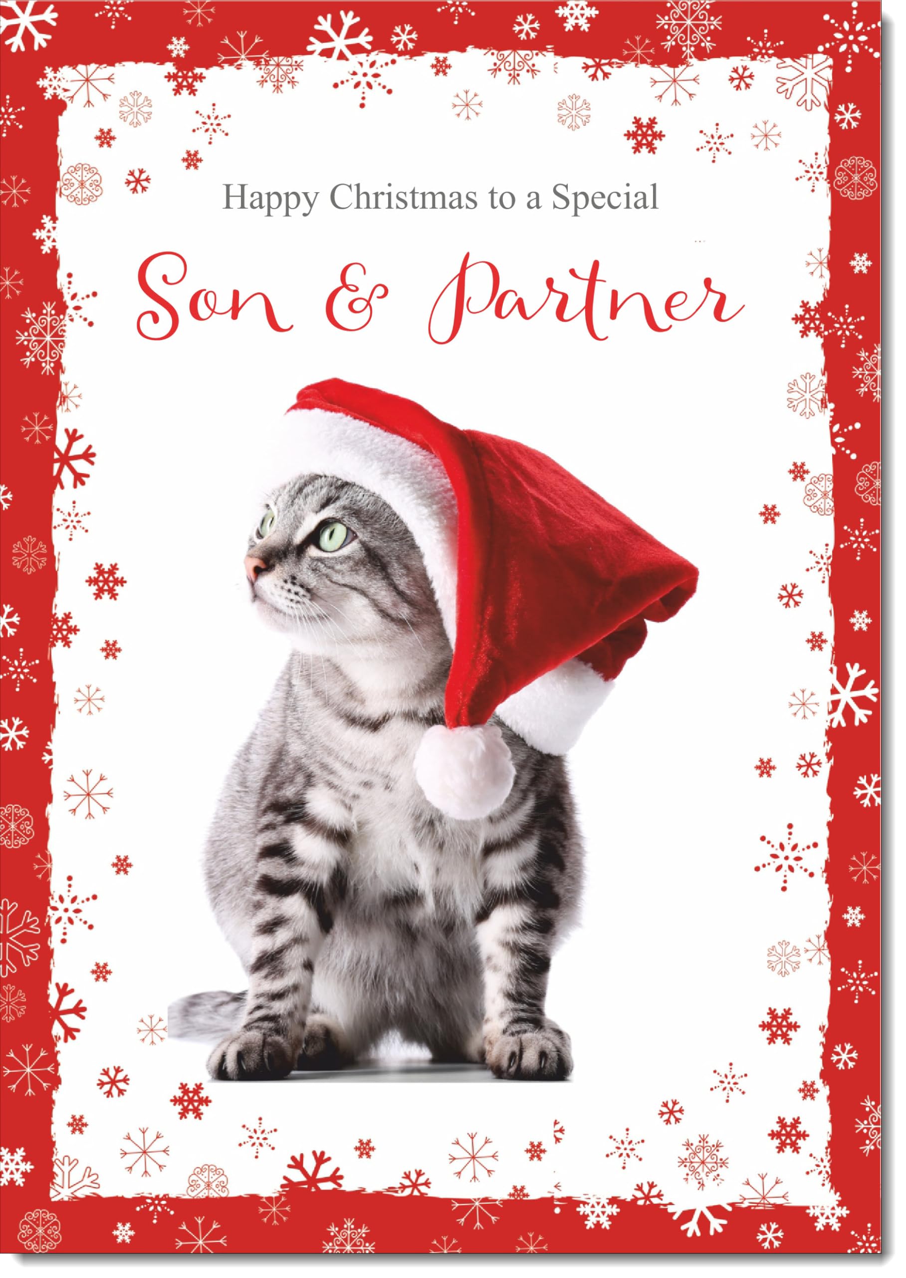 doodlecards Son and Partner Christmas Card Kitten in a Santa Hat Large A4 Size Christmas Card for Son & Partner with Plain Envelope — image 1