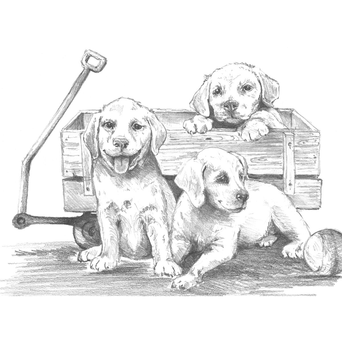 Royal Brush Sketching Made Easy Large Kit 16 x 12.75-inch, Puppies and Wagon, Transparent