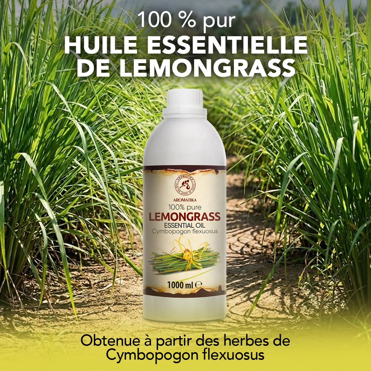 Huile Essentielle de Lemongrass 1000 ml - Cymbopogon Flexuosus - pour Diffuseur et Lampe Aroma - le Savon et les Bougies - Sauna - Parfums d'Intérieur - Arôme frais - Aromathérapie