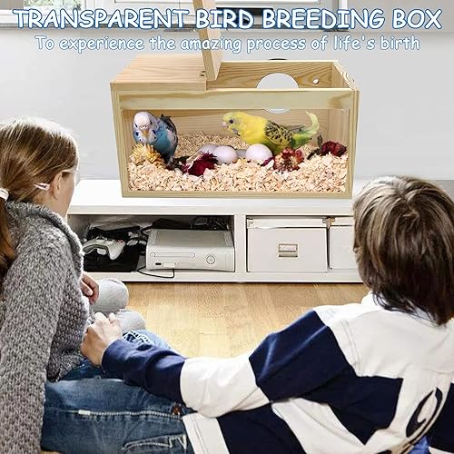 Miniatura 2 de BNOSDM Caja de nido de periquitos transparente para cría de pájaros con perca (M)
