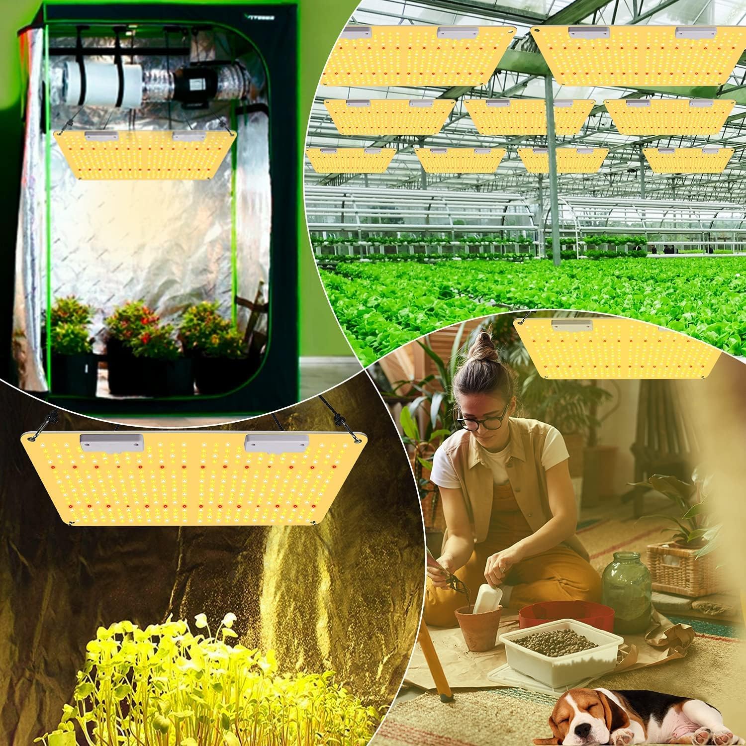 COKOLILA 2000W Lámpara de Cultivo LED Regulable, Espectro Completo con 444 LEDs SMD e IR, Luz de Crecimiento para Plantas de Interior, Cobertura 120x120cm para Fase Vegetación y Floración