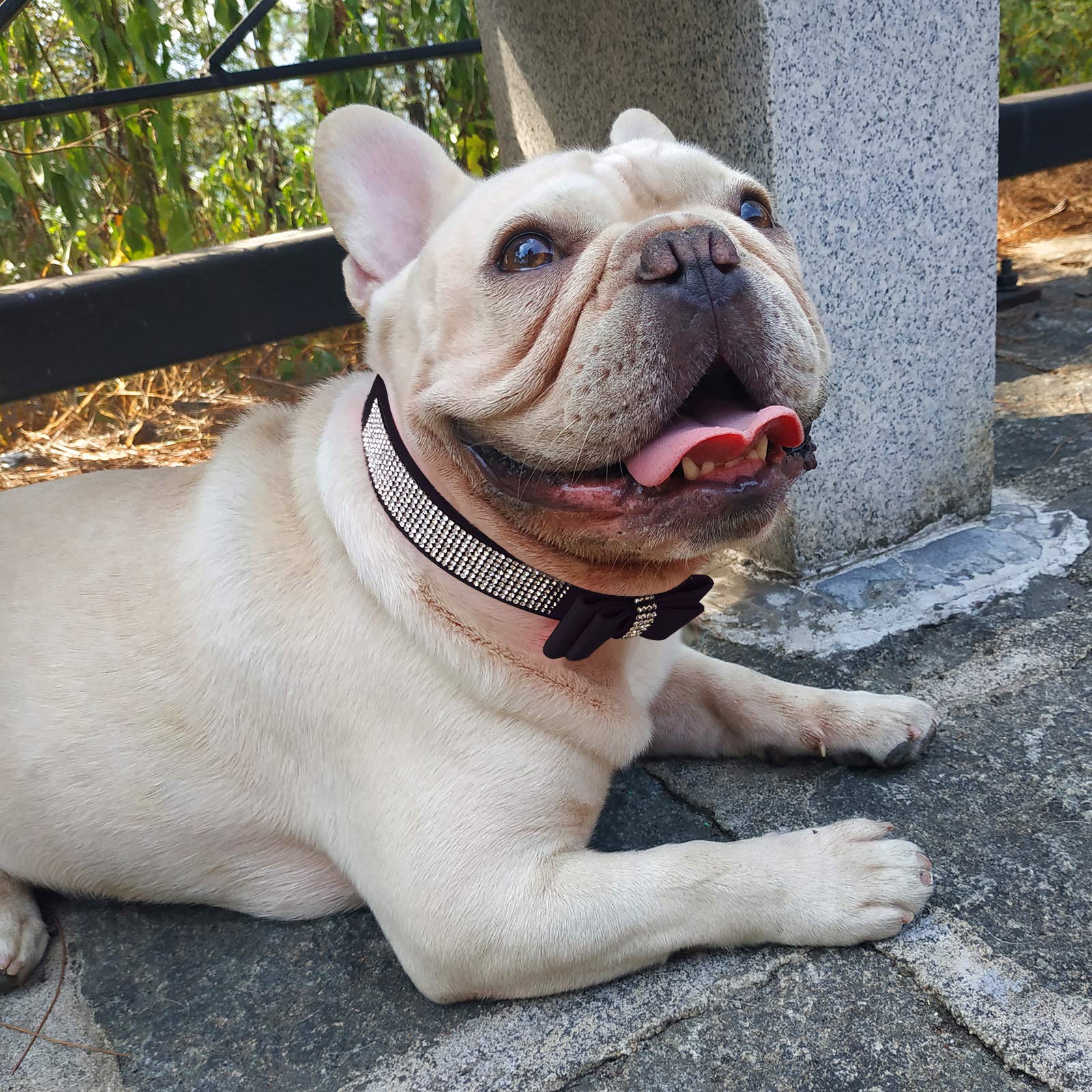 Glitzer-Hundehalsband Mit Strass & Schmetterling – Weiches Wildleder, Größe L, Für Kleine & Mittlere Hunde