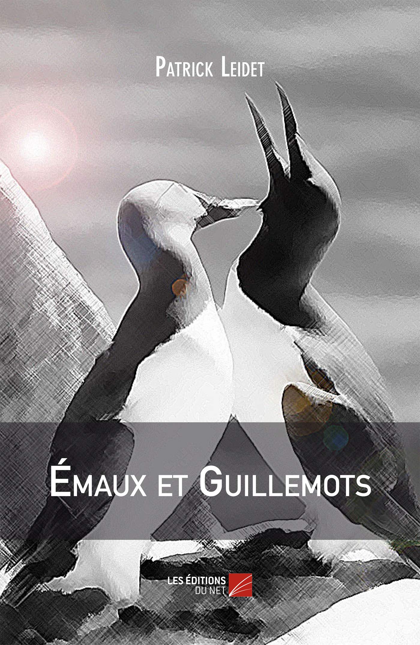 Émaux et Guillemots (French Edition)